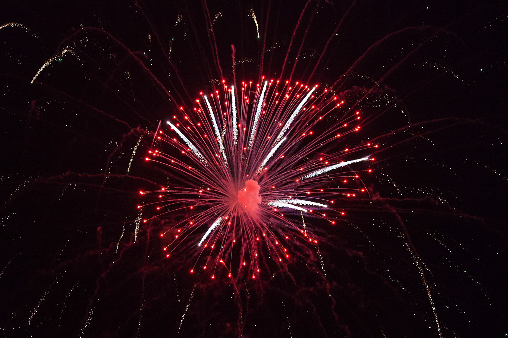 © 2016 Billy Hodgkins Photography All rights reserved.