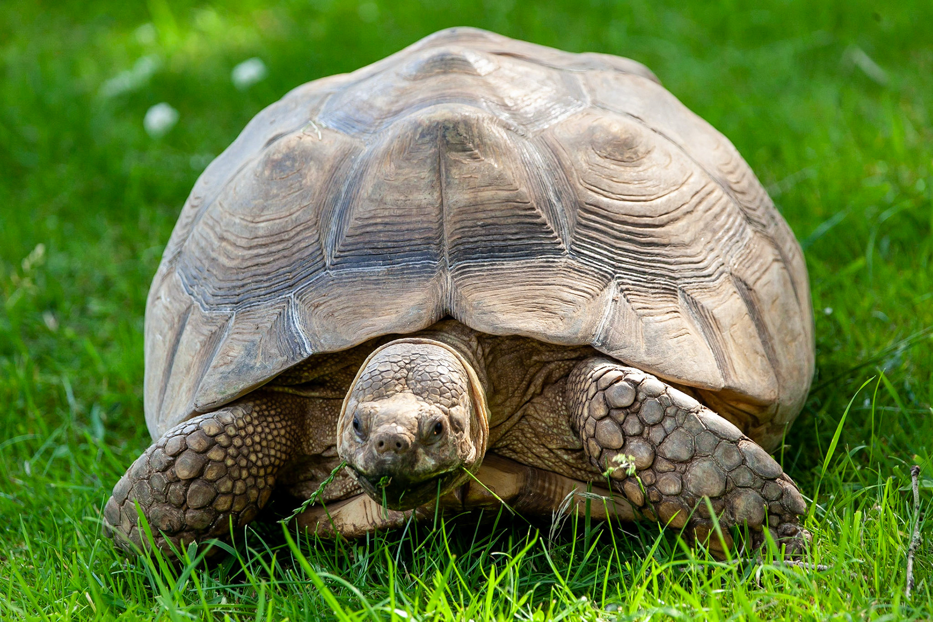 © 2020 Billy Hodgkins Photography All rights reserved.