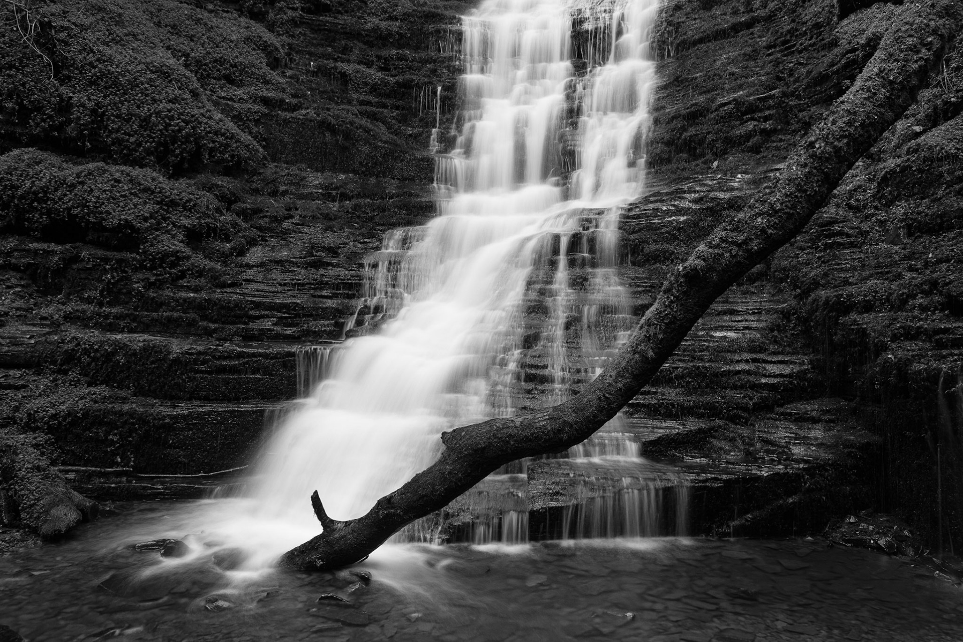 © 2014 Billy Hodgkins Photography All rights reserved.