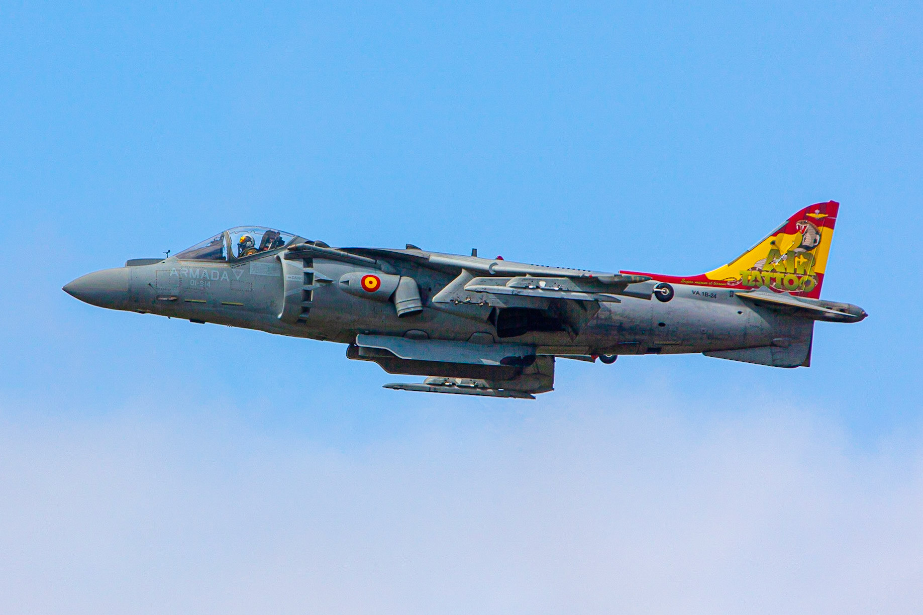 © 2019 Billy Hodgkins Photography All rights reserved.