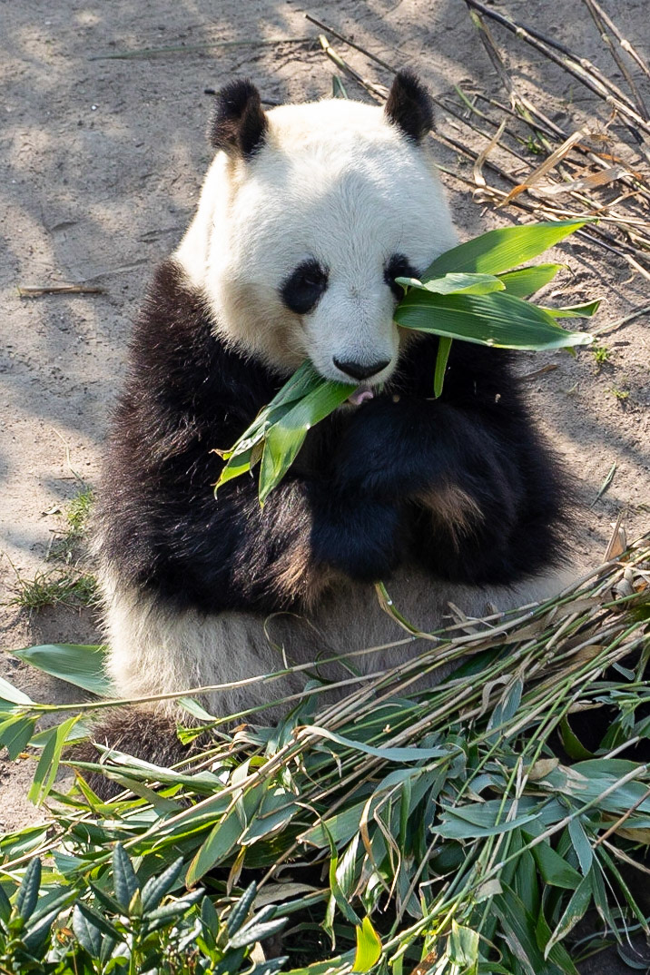 © 2023 Billy Hodgkins Photography All rights reserved.