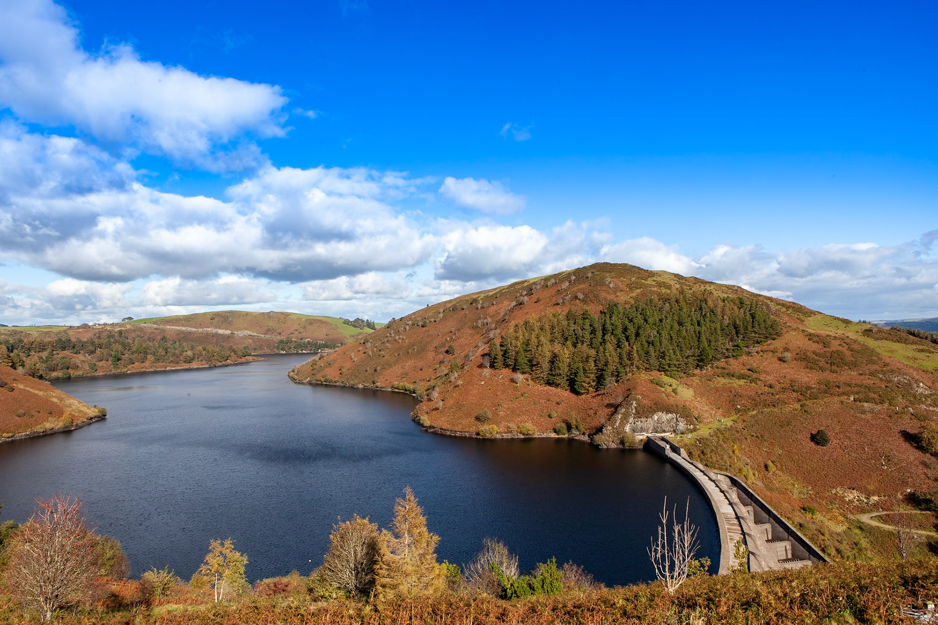 © 2020 Billy Hodgkins Photography All rights reserved.