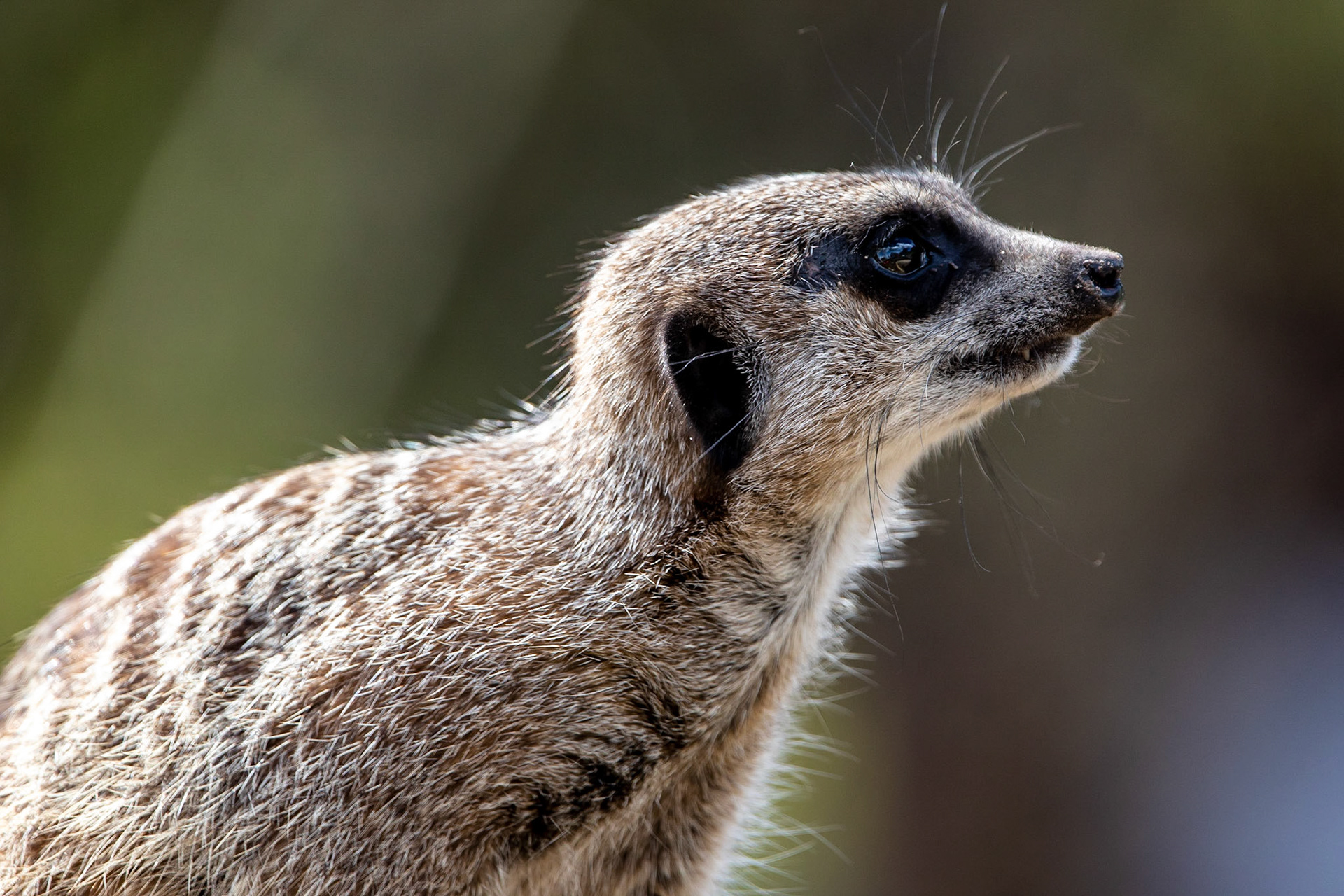 © 2021 Billy Hodgkins Photography All rights reserved.