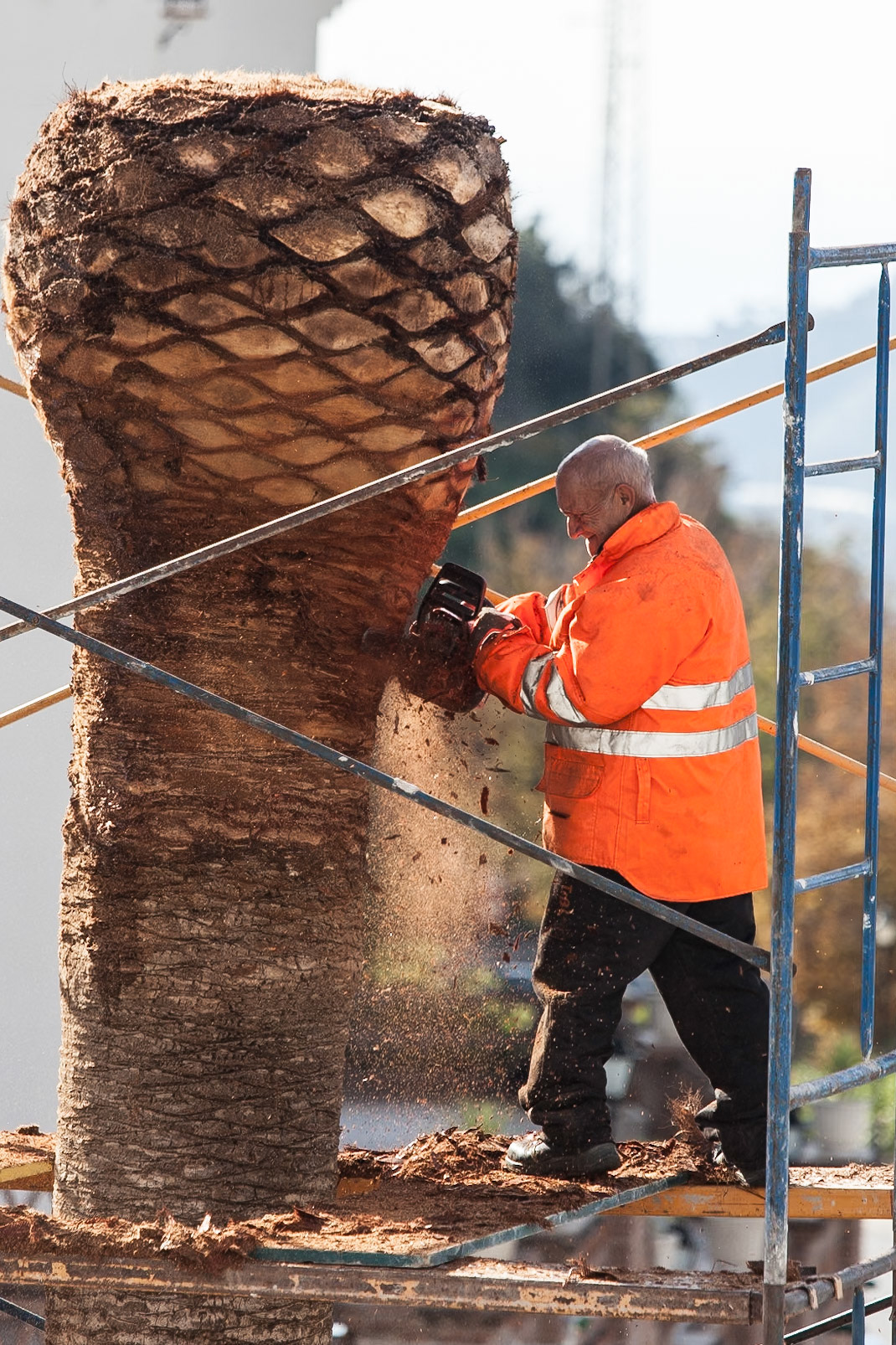 © 2015 Billy Hodgkins Photography All rights reserved.