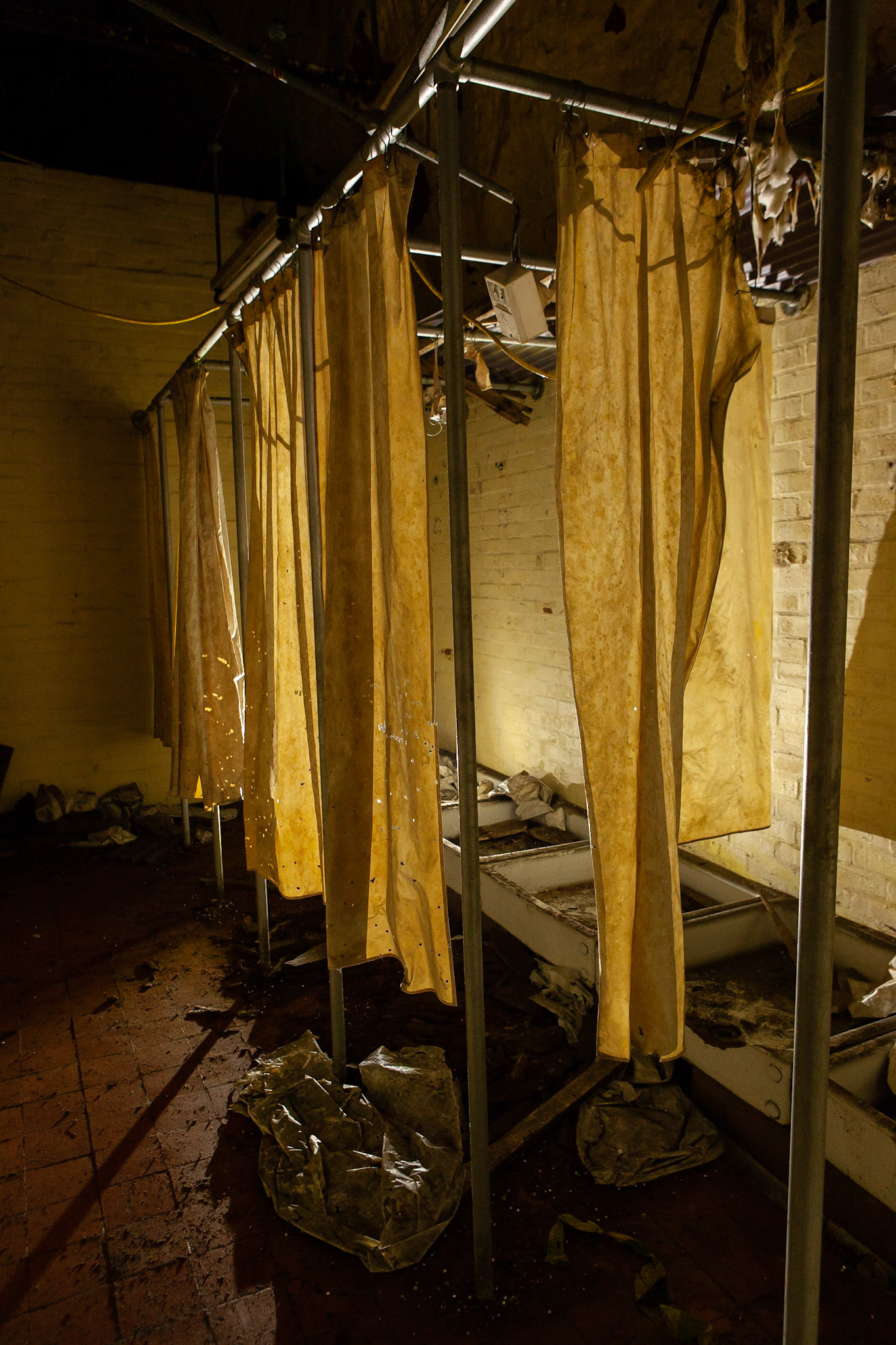 © 2019 Billy Hodgkins Photography All rights reserved.