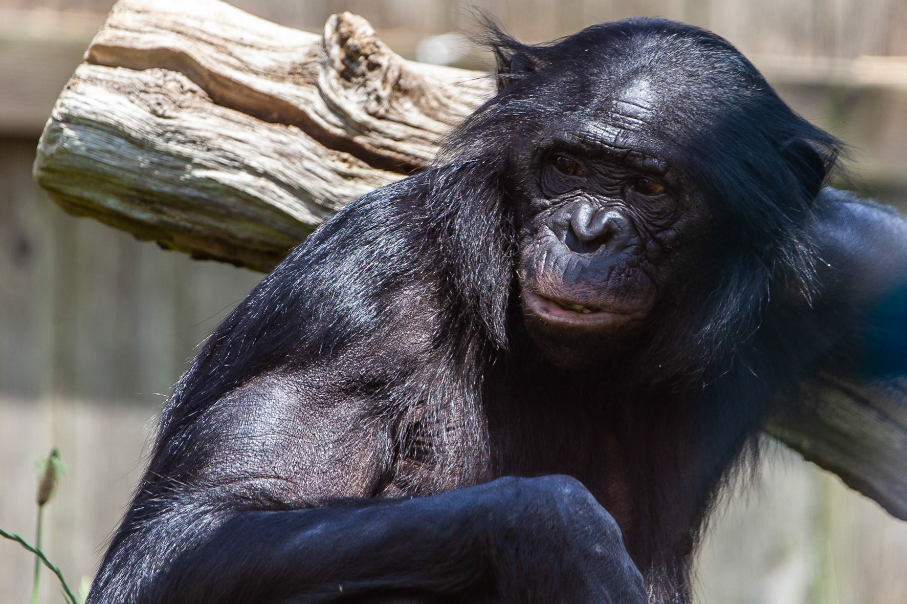 © 2020 Billy Hodgkins Photography All rights reserved.