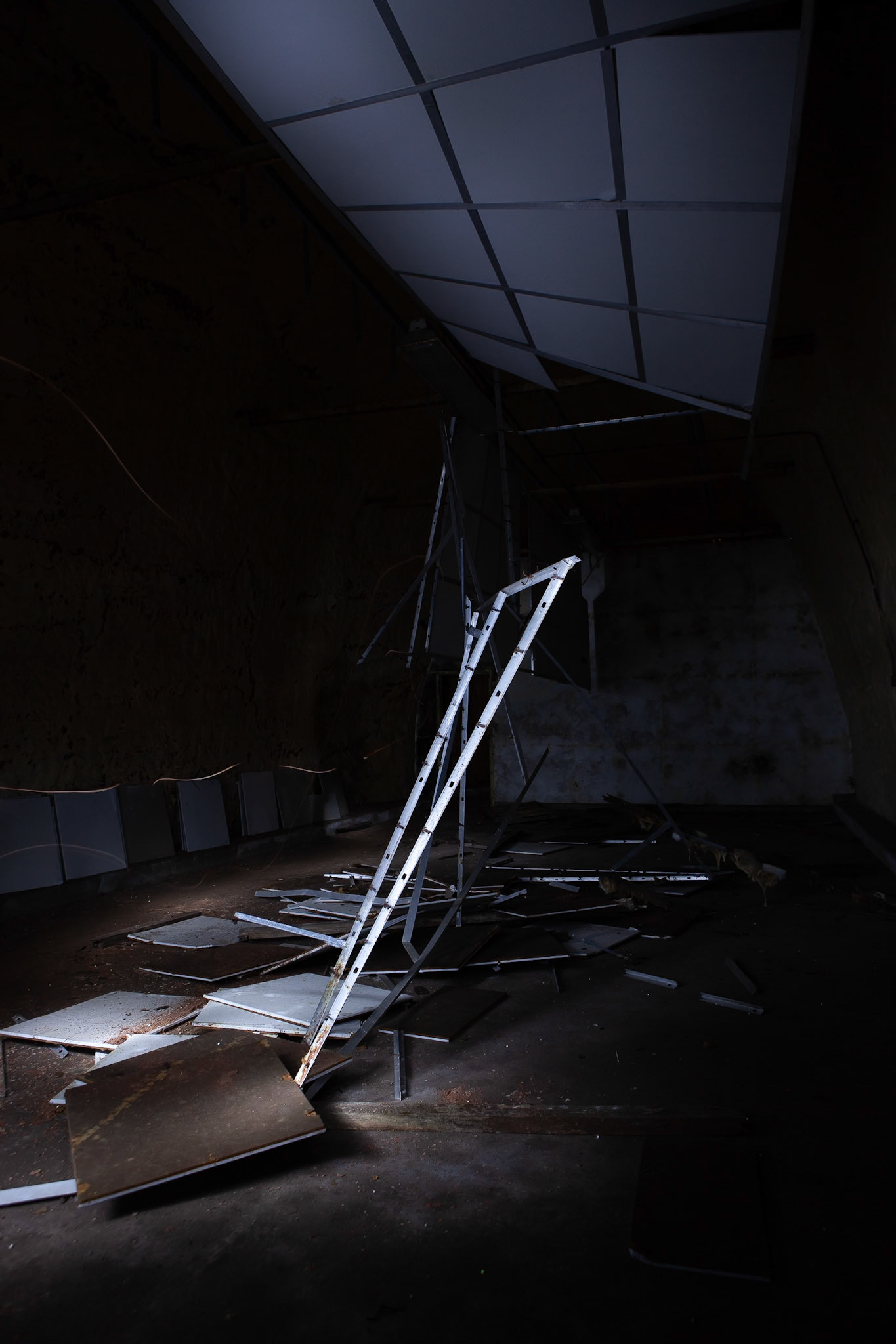 © 2019 Billy Hodgkins Photography All rights reserved.