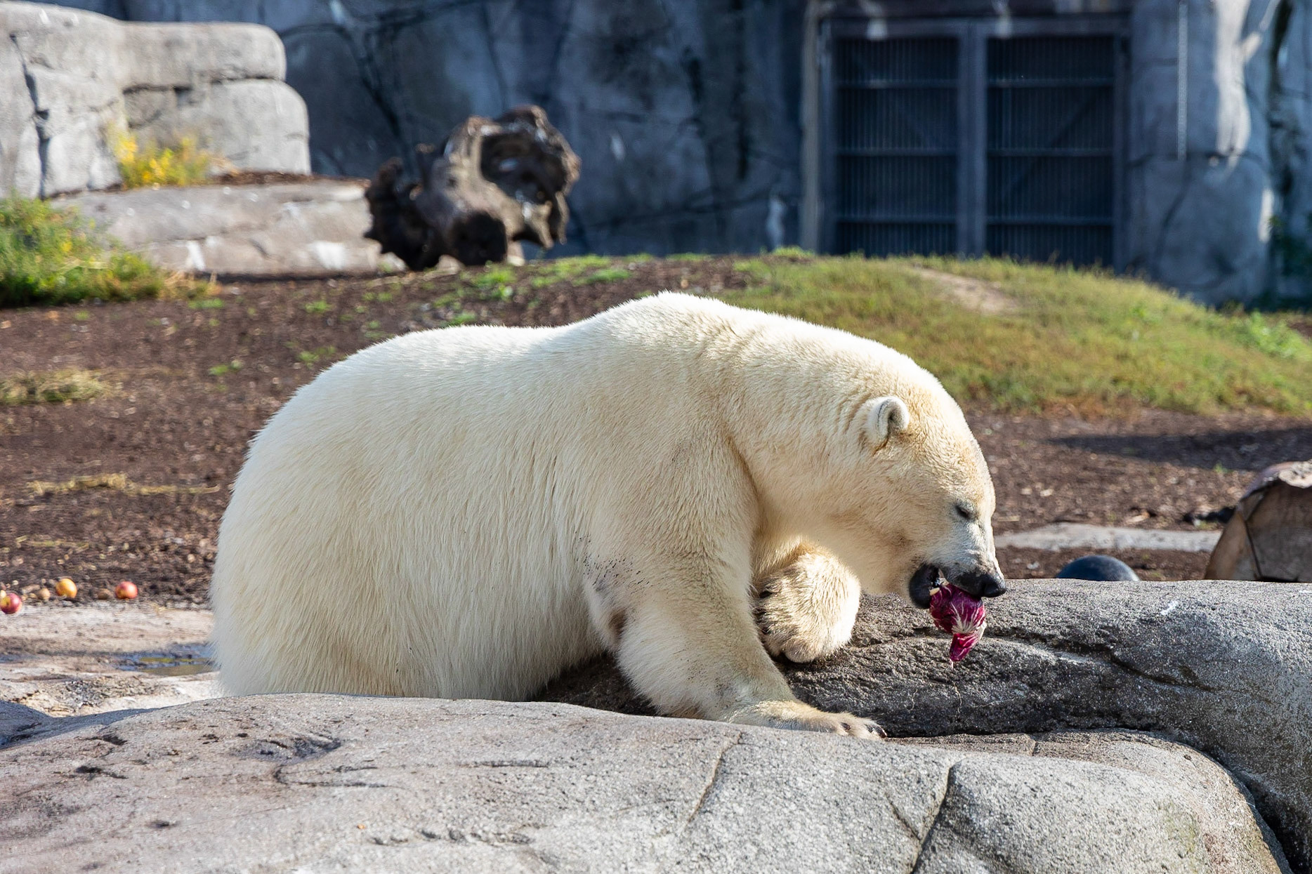 © 2023 Billy Hodgkins Photography All rights reserved.