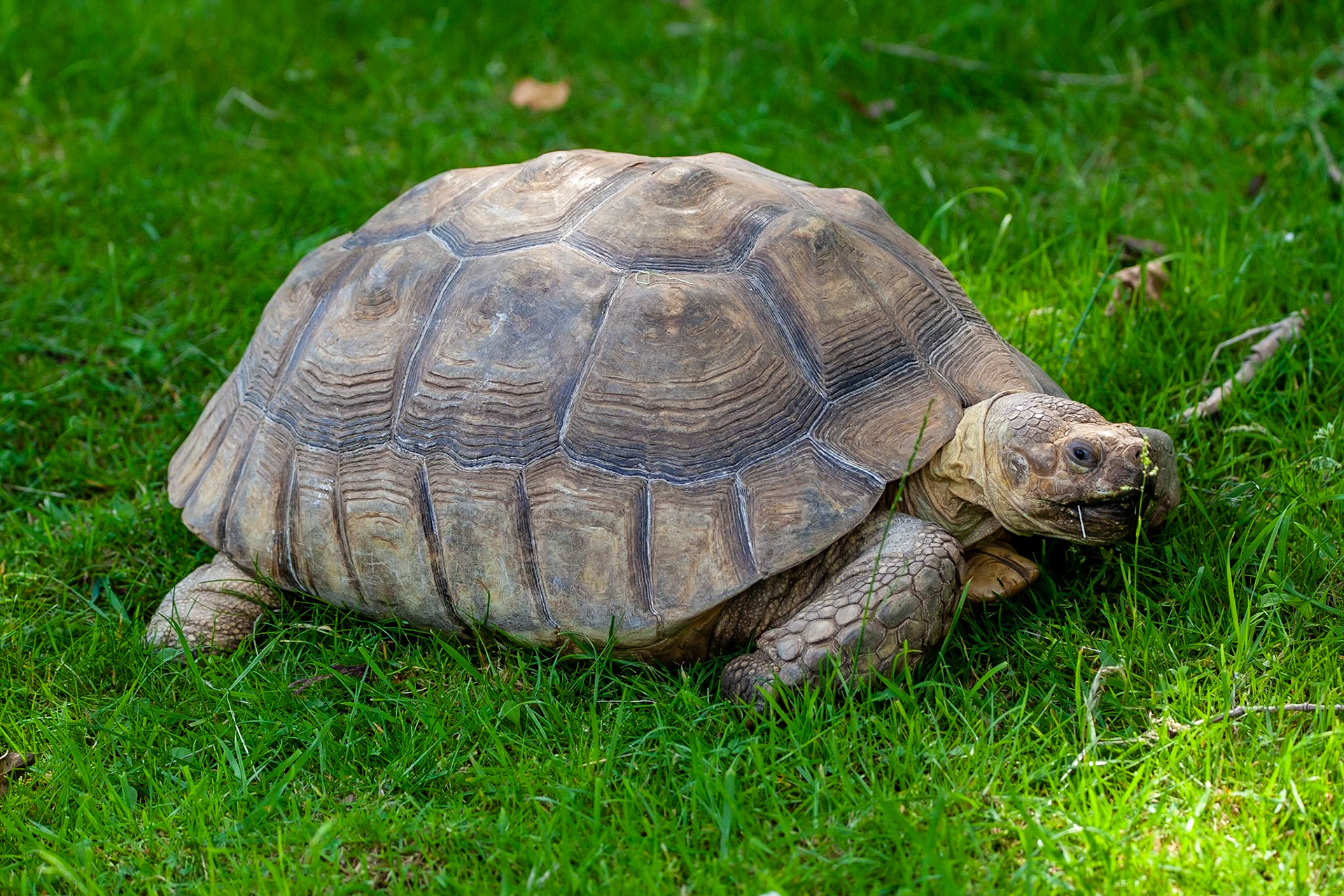 © 2020 Billy Hodgkins Photography All rights reserved.