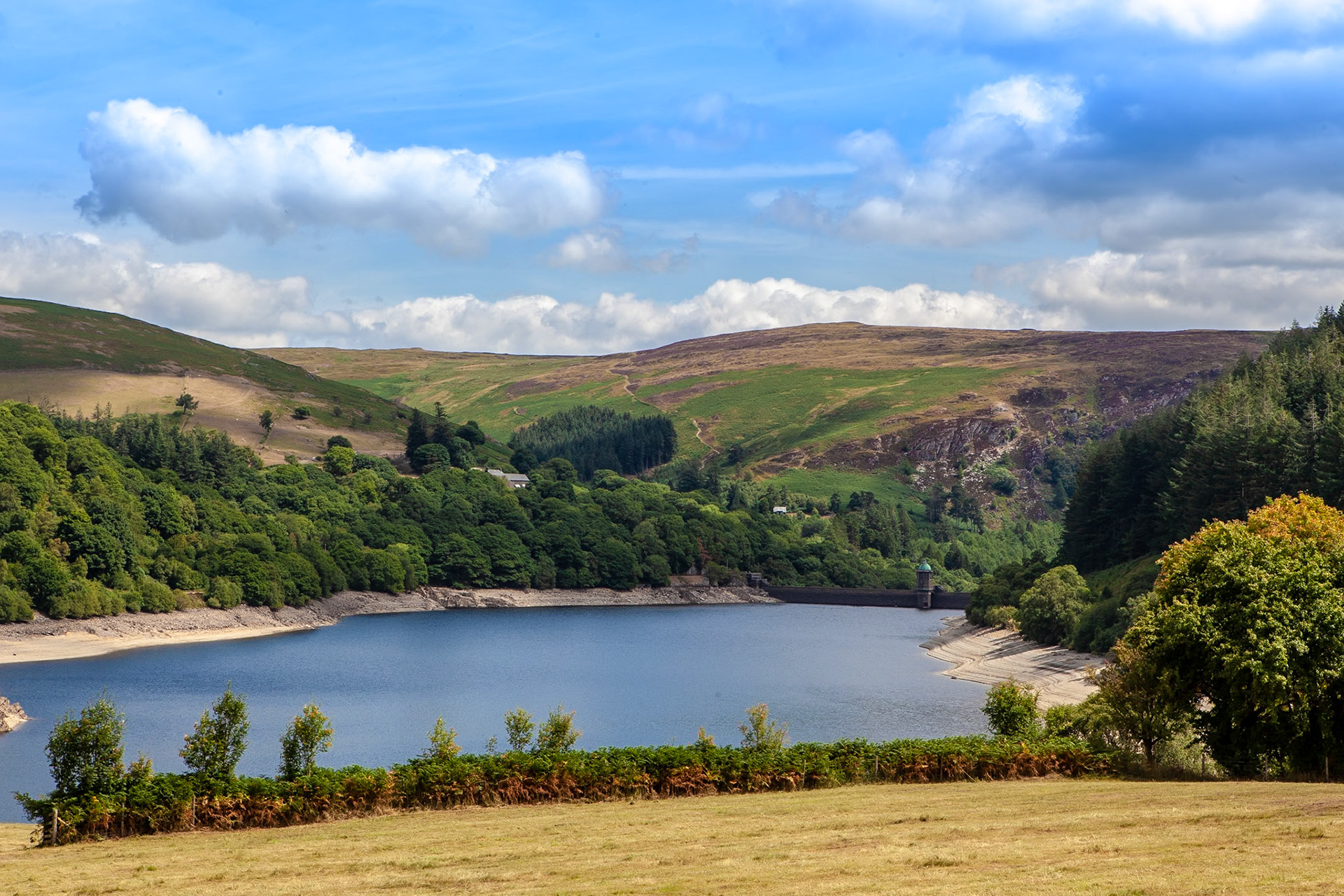 © 2018 Billy Hodgkins Photography All rights reserved.