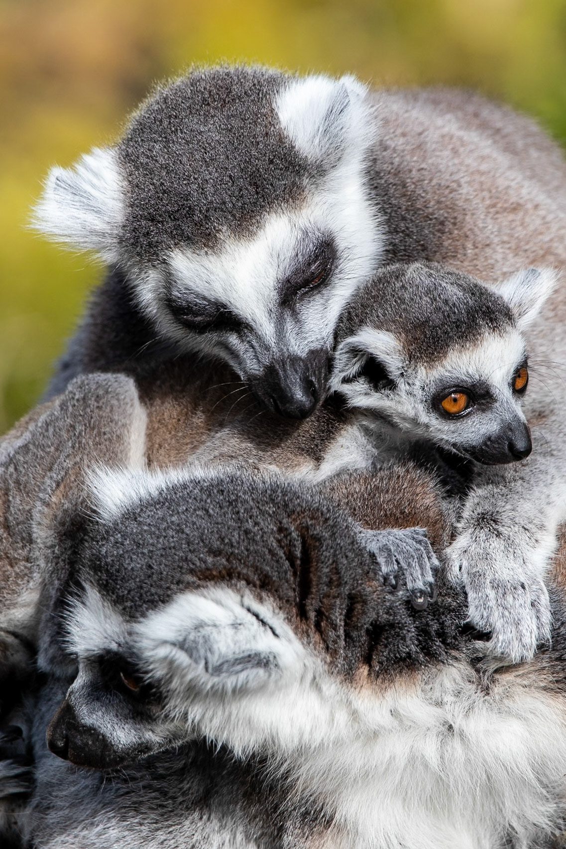 © 2021 Billy Hodgkins Photography All rights reserved.