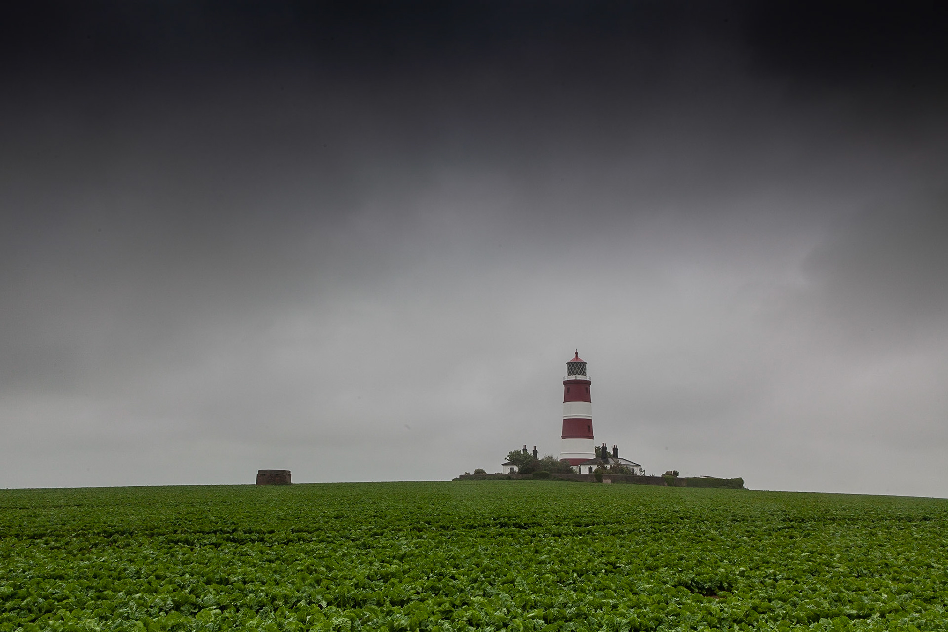 © 2019 Billy Hodgkins Photography All rights reserved.