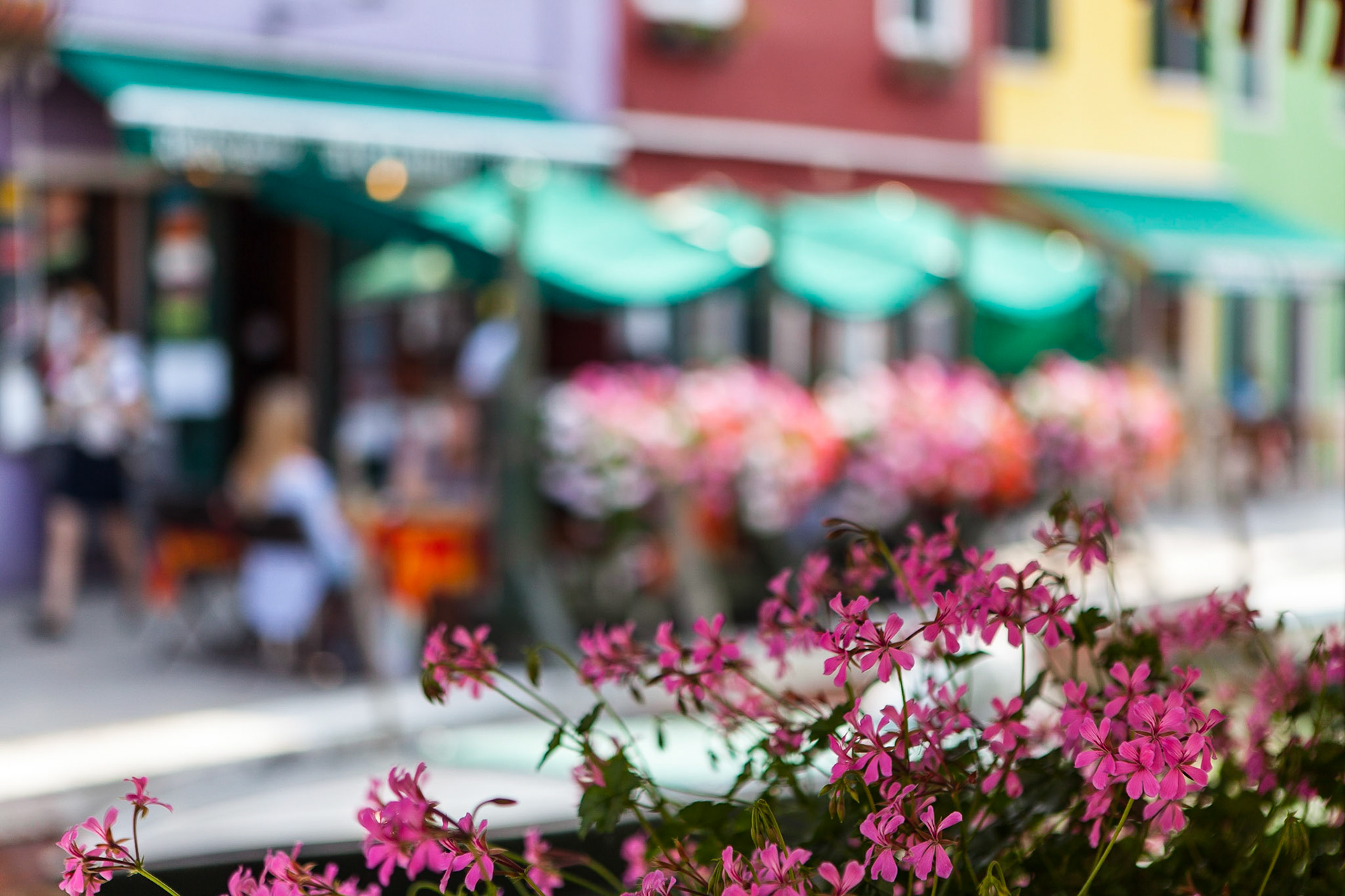 © 2017 Billy Hodgkins Photography All rights reserved.