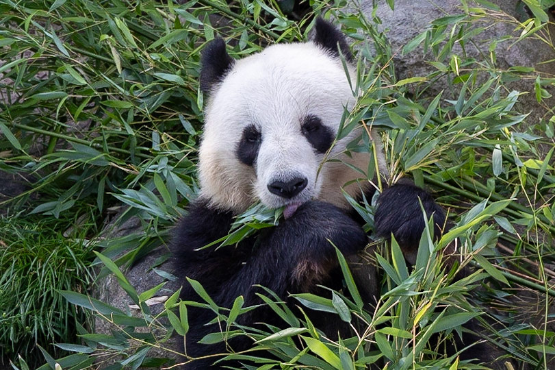 © 2023 Billy Hodgkins Photography All rights reserved.