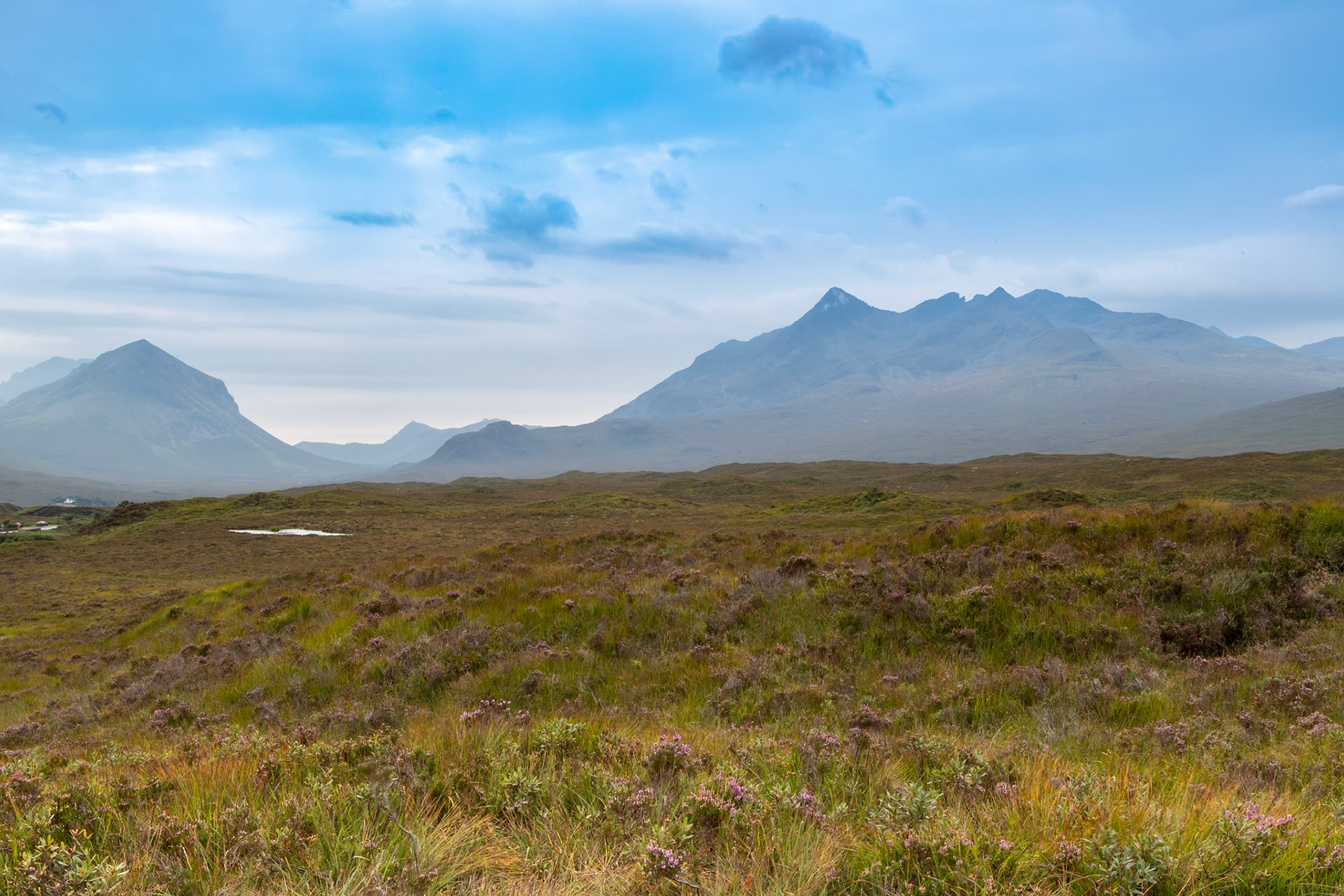 © 2021 Billy Hodgkins Photography All rights reserved.