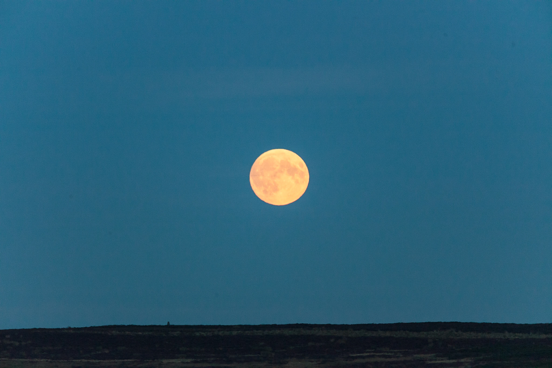 © 2015 Billy Hodgkins Photography All rights reserved.