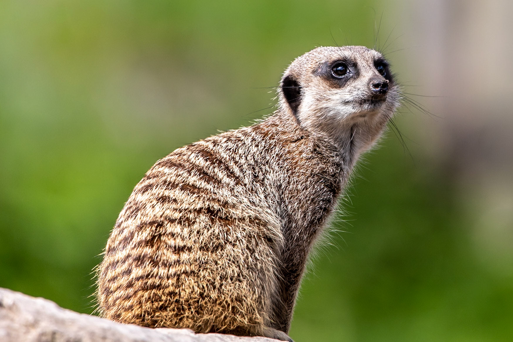 © 2021 Billy Hodgkins Photography All rights reserved.