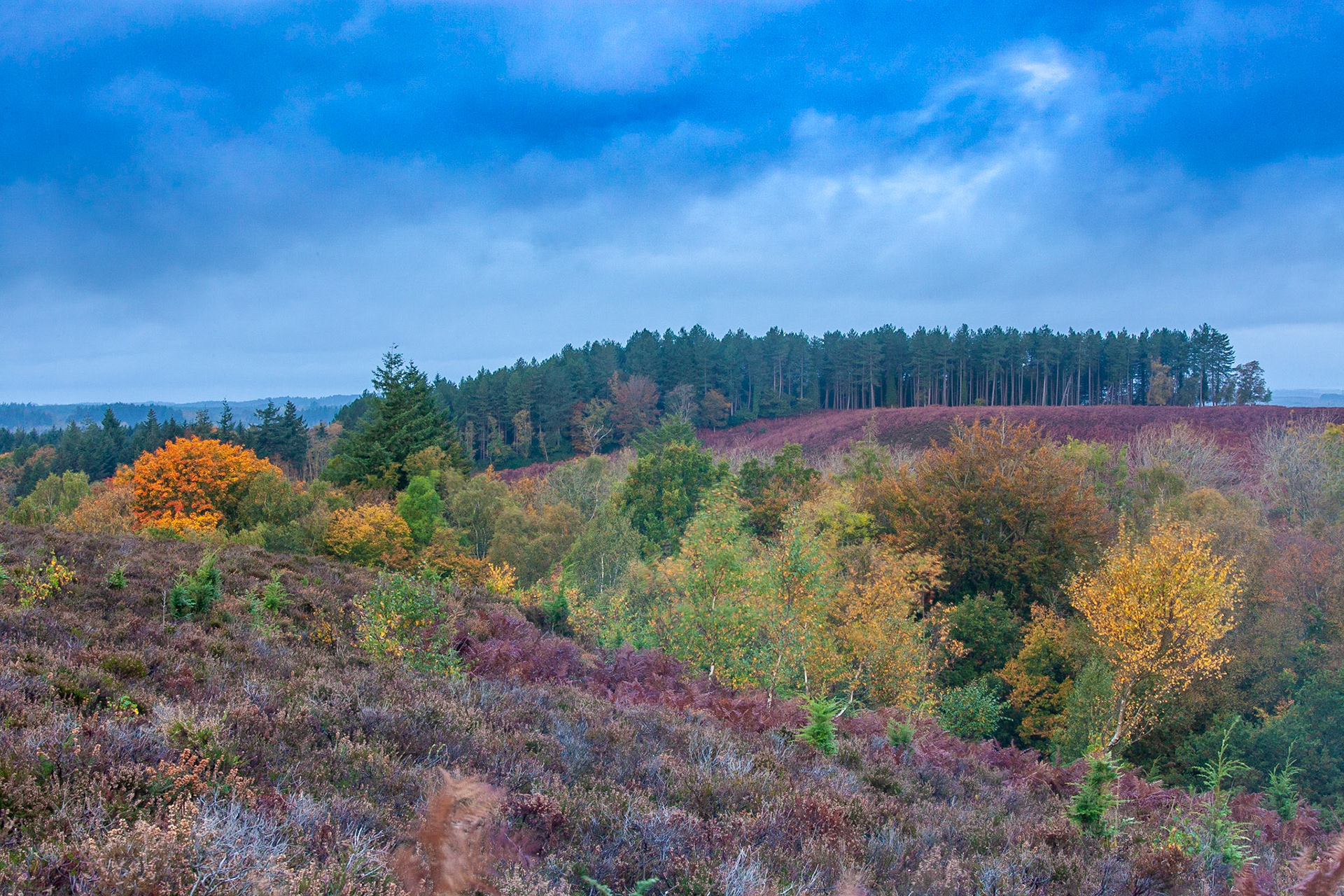 © 2020 Billy Hodgkins Photography All rights reserved.