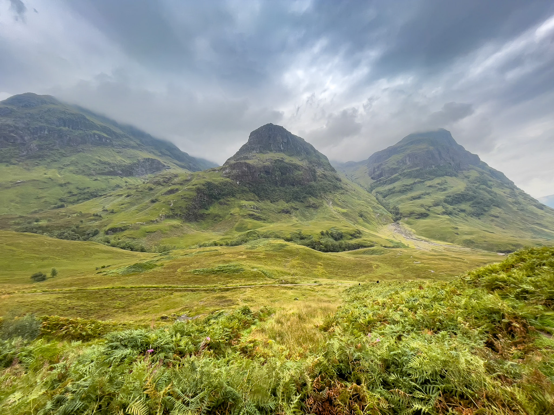 © 2021 Billy Hodgkins Photography All rights reserved.