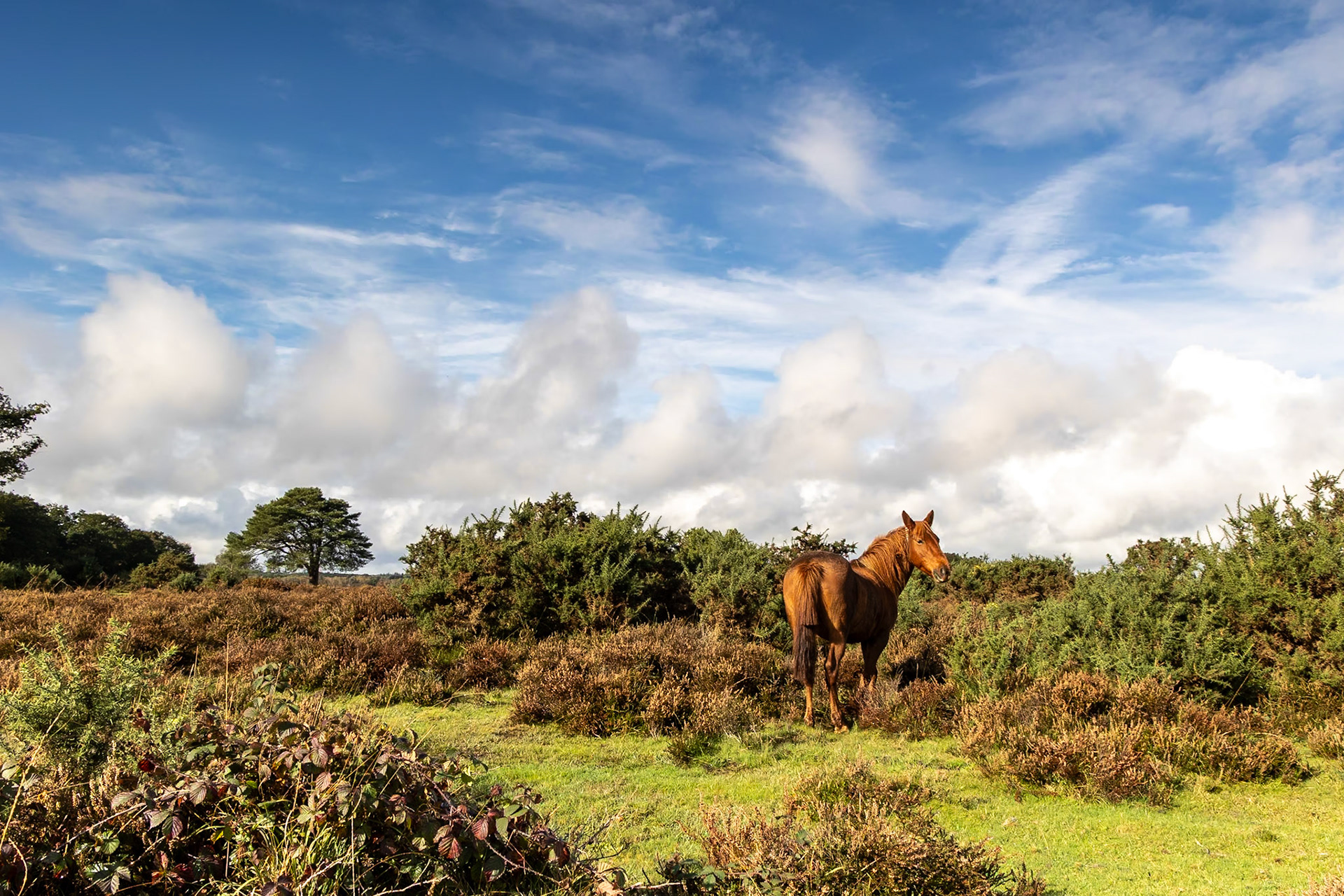 © 2023 Billy Hodgkins Photography All rights reserved.