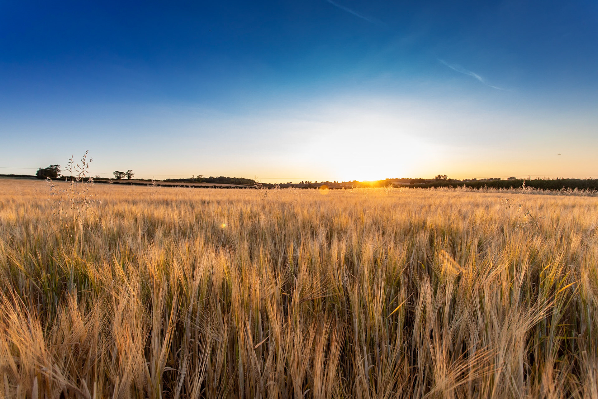 © 2022 Billy Hodgkins Photography All rights reserved.