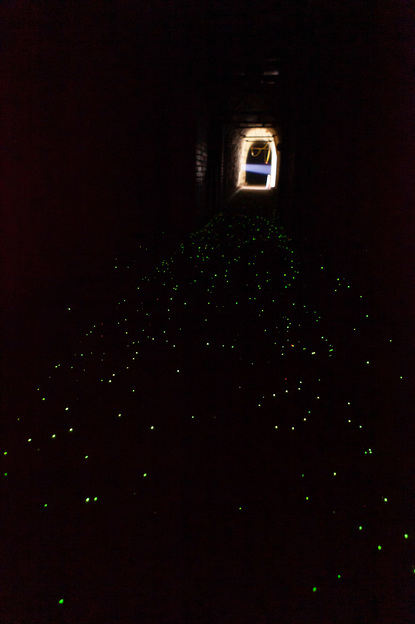 © 2019 Billy Hodgkins Photography All rights reserved.