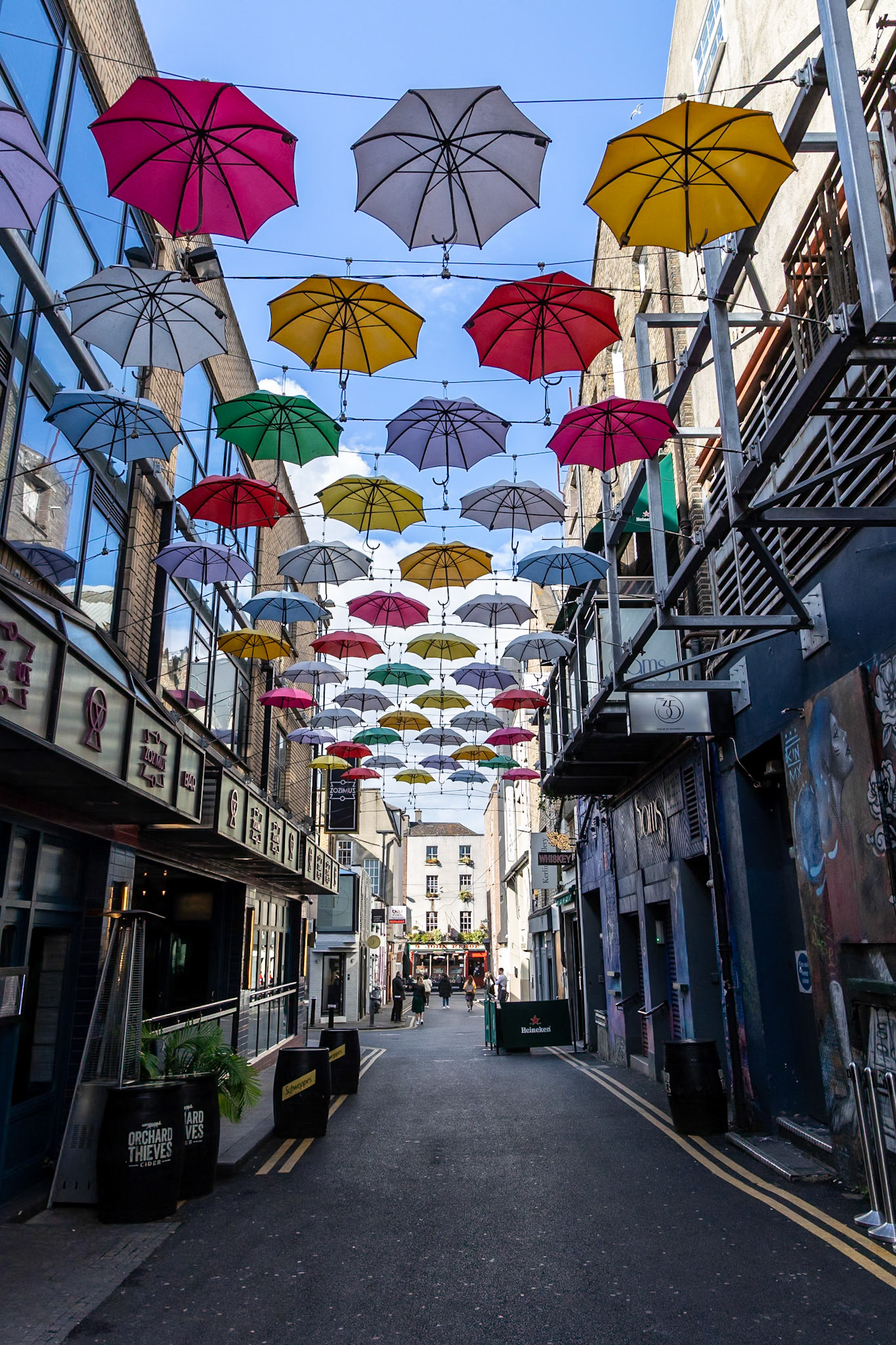 © 2023 Billy Hodgkins Photography All rights reserved.