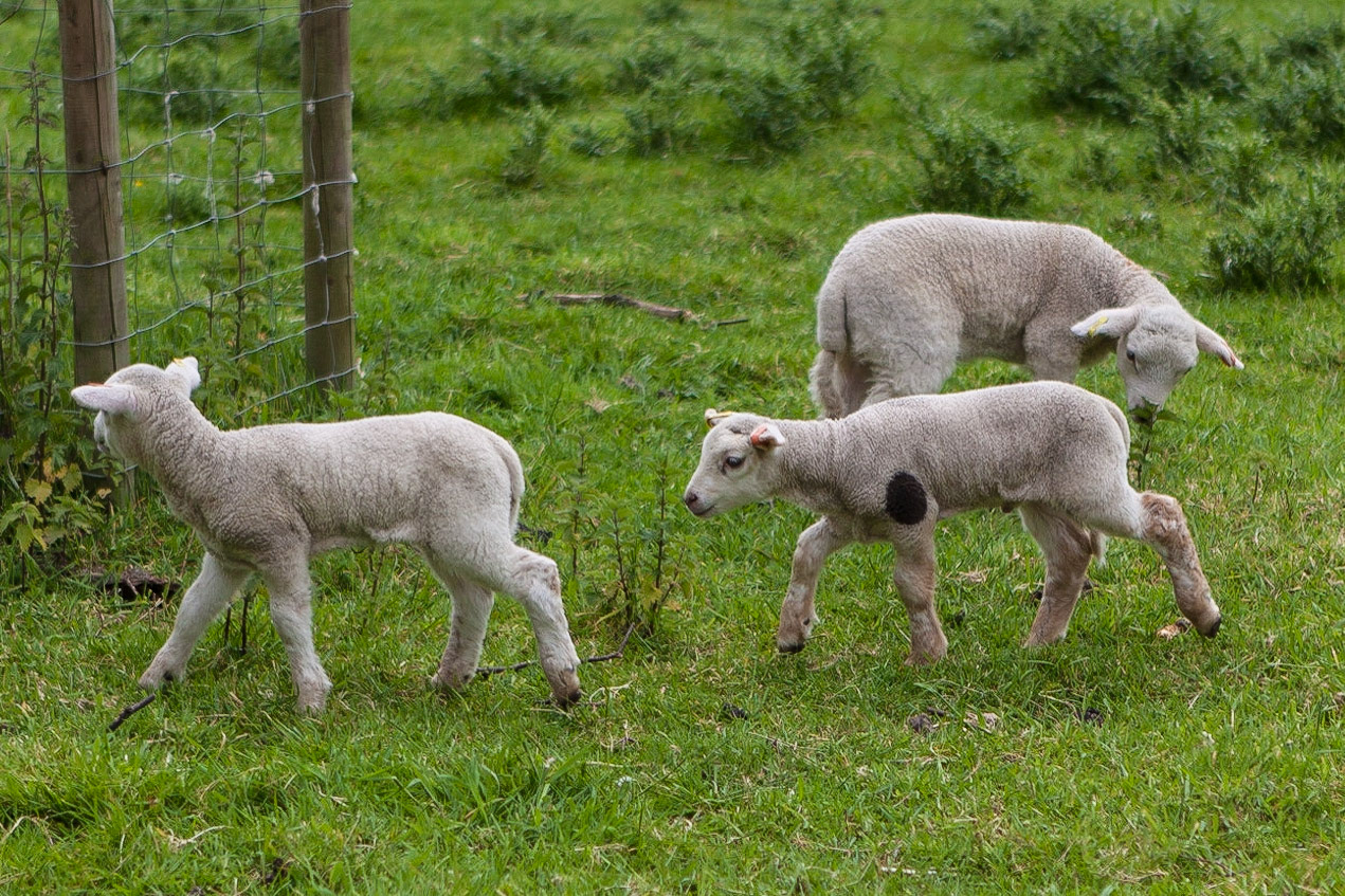 © 2015 Billy Hodgkins Photography All rights reserved.