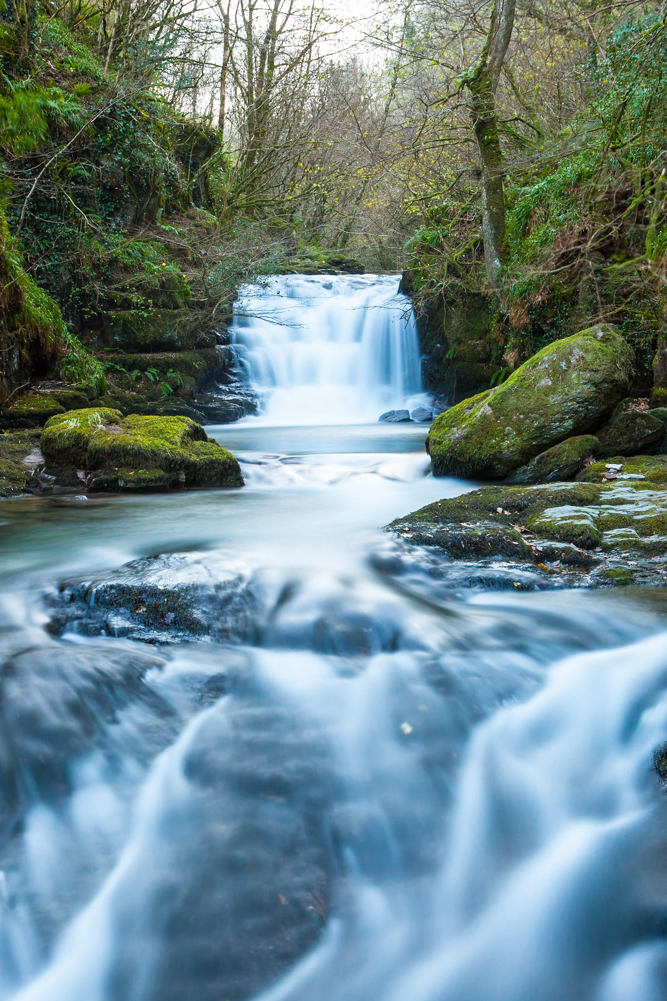 © 2016 Billy Hodgkins Photography All rights reserved.