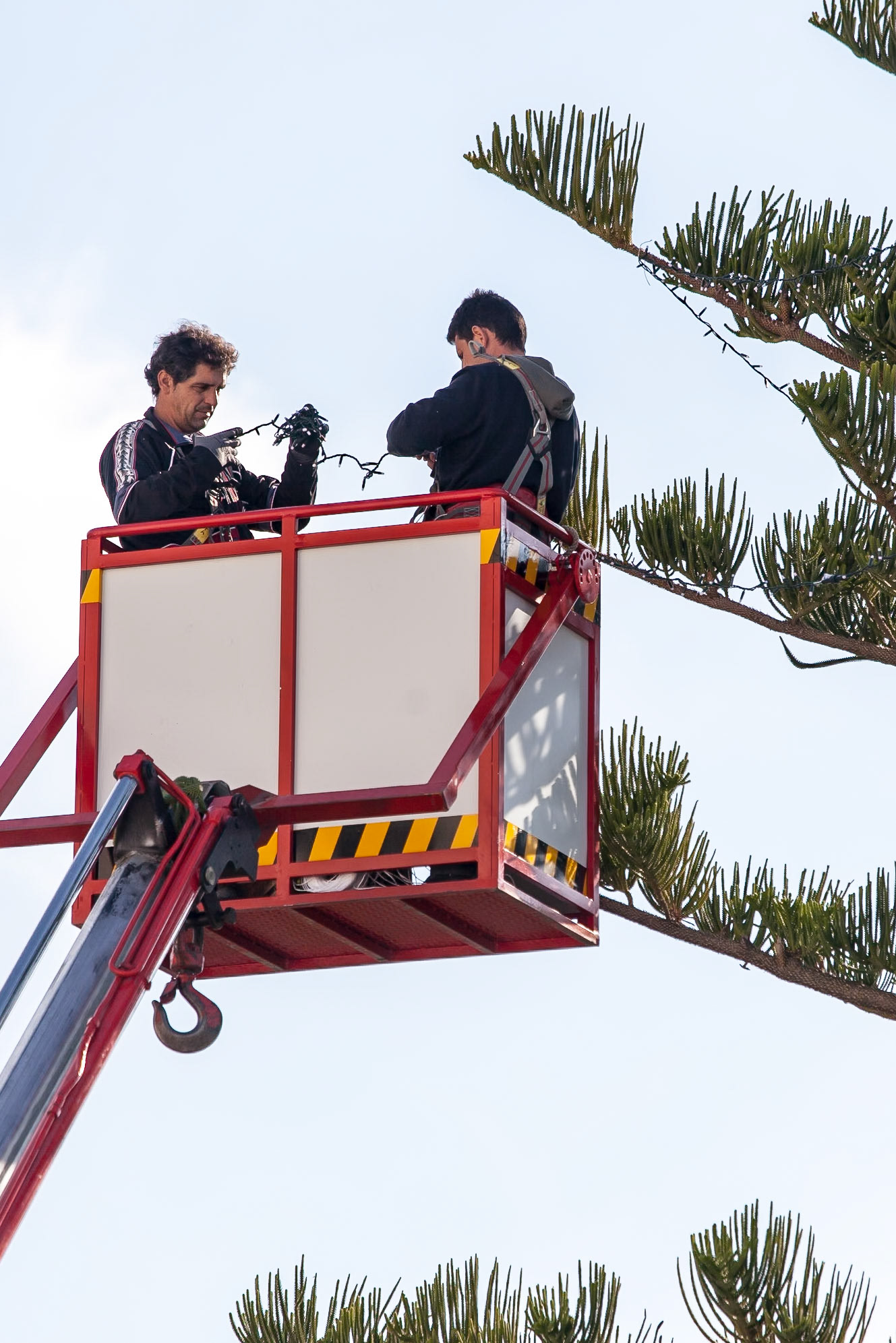 © 2015 Billy Hodgkins Photography All rights reserved.