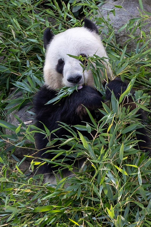 © 2023 Billy Hodgkins Photography All rights reserved.