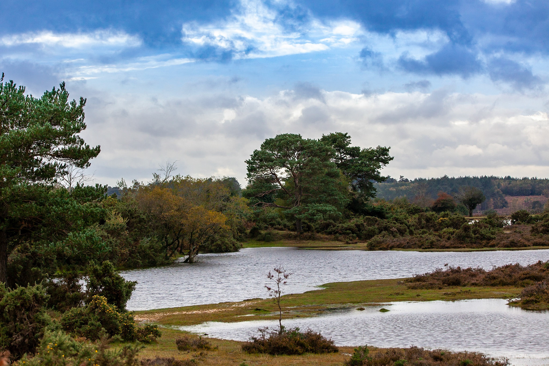 © 2020 Billy Hodgkins Photography All rights reserved.