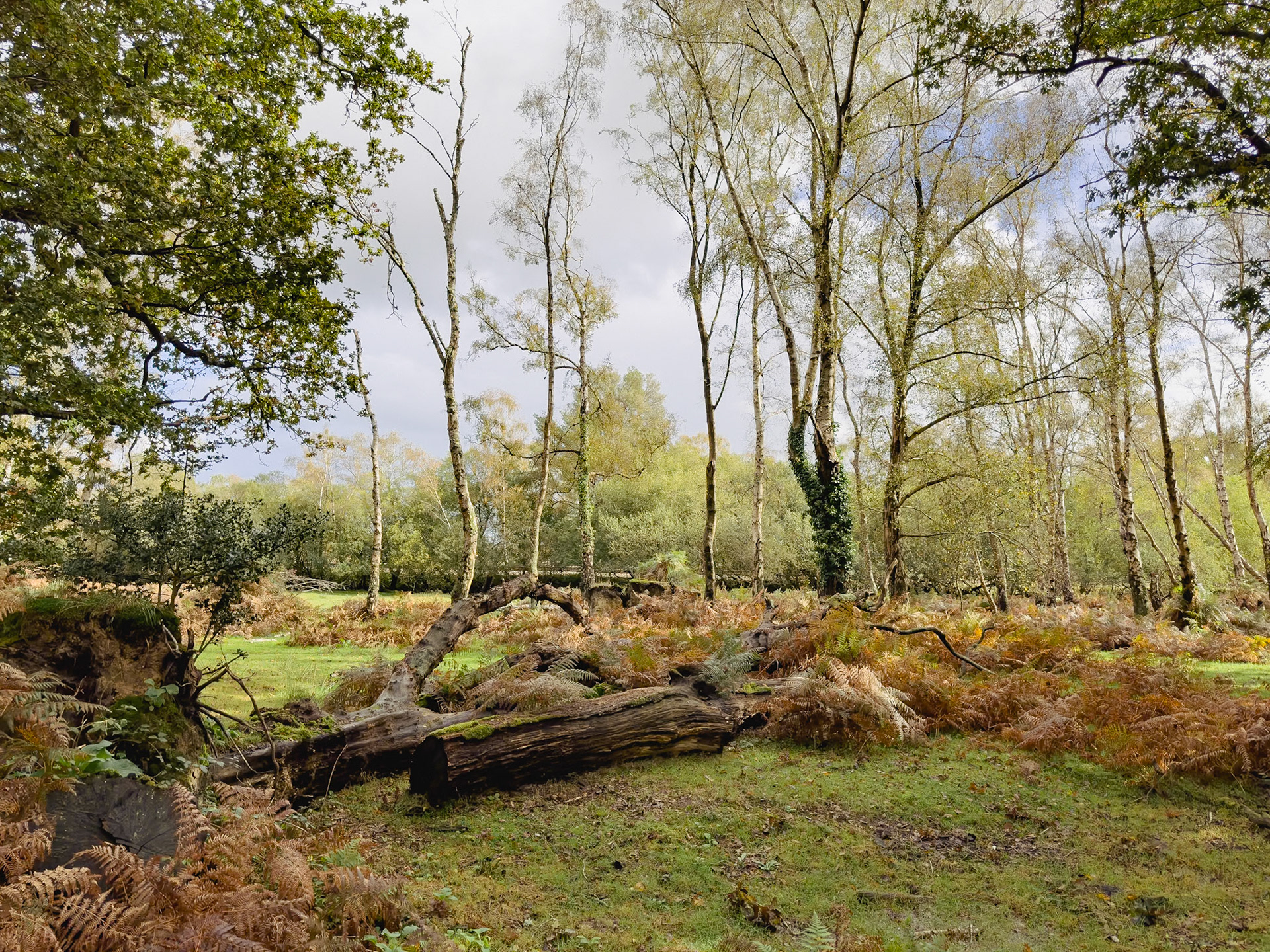 © 2023 Billy Hodgkins Photography All rights reserved.