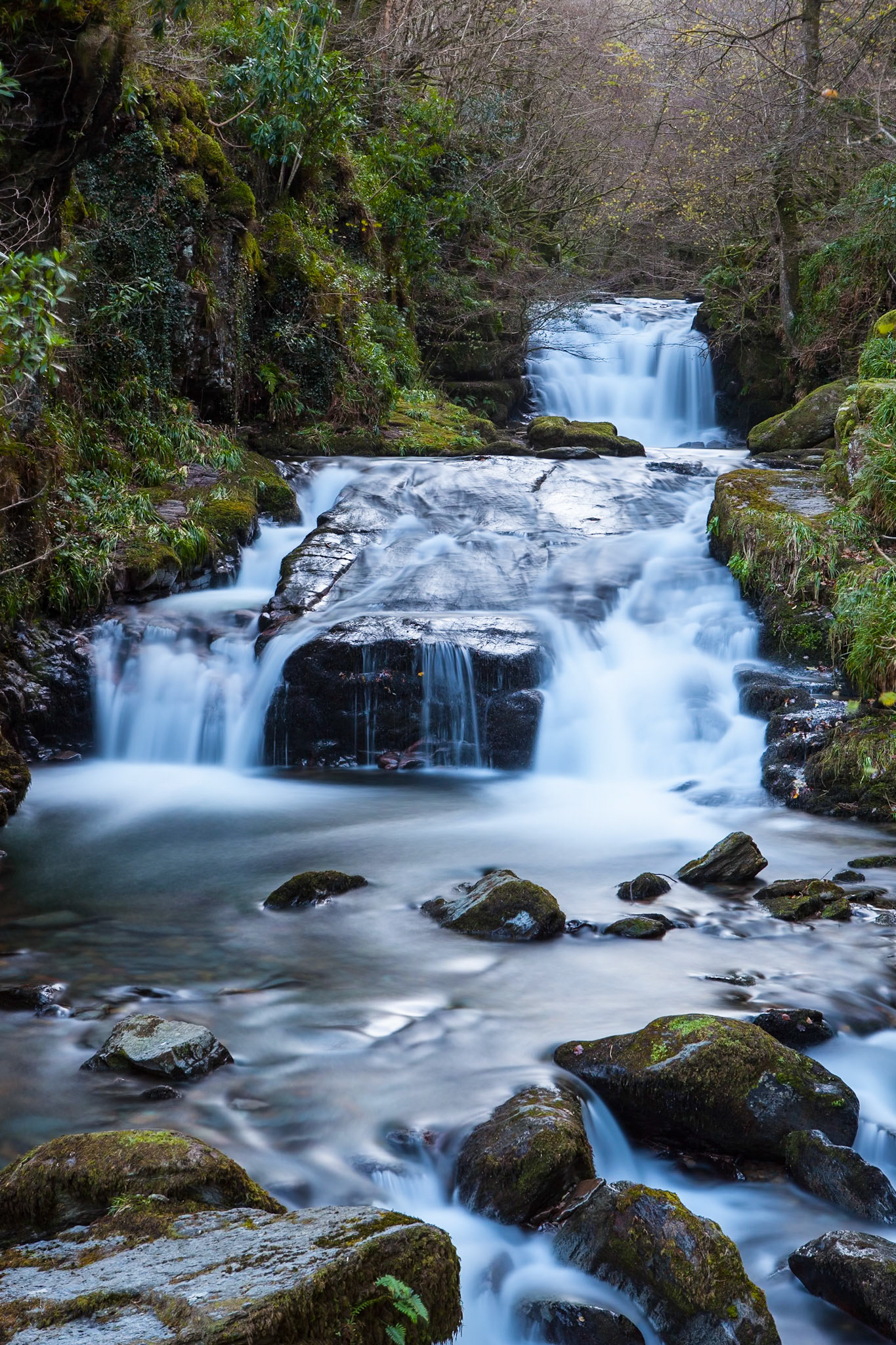 © 2016 Billy Hodgkins Photography All rights reserved.