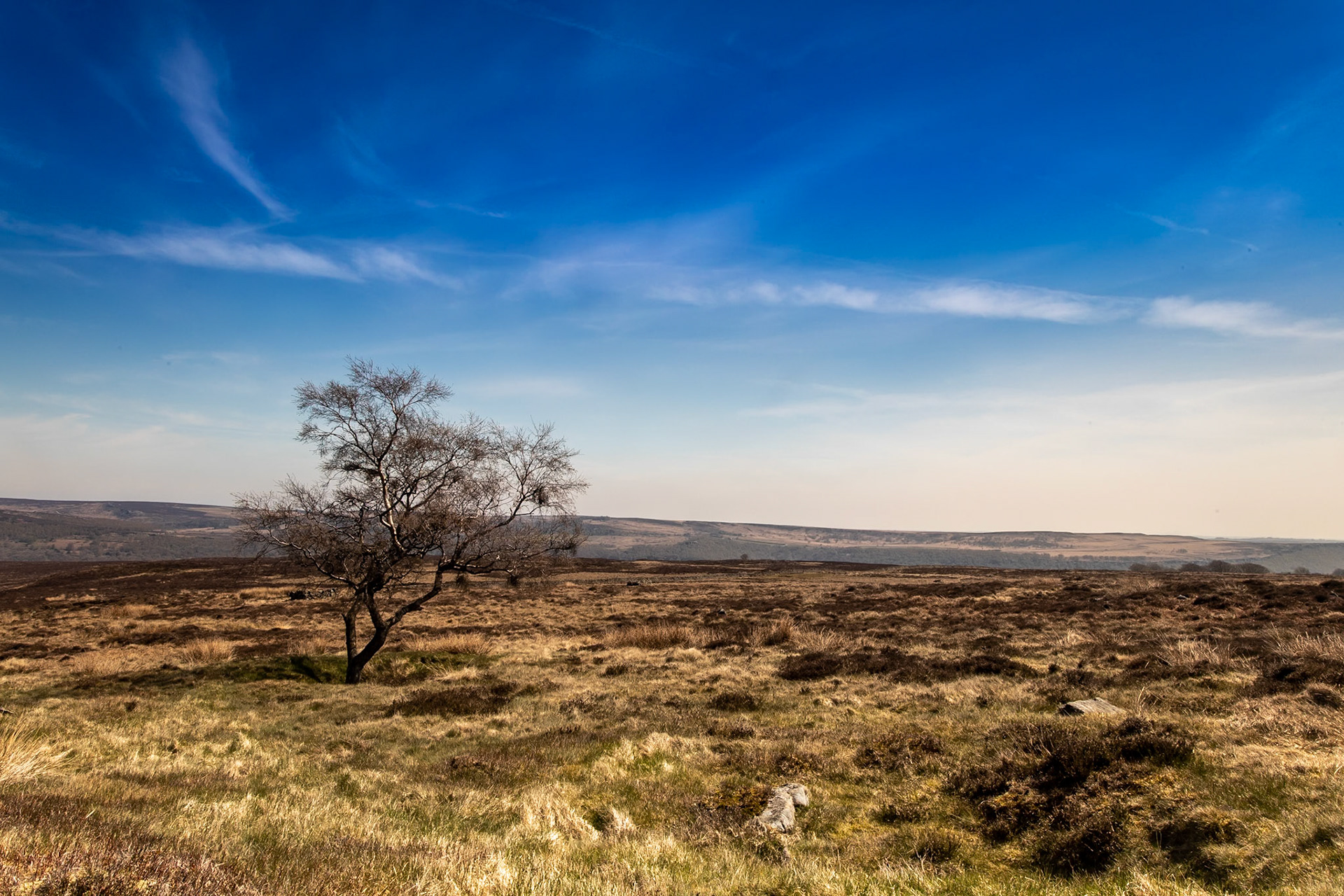 © 2021 Billy Hodgkins Photography All rights reserved.