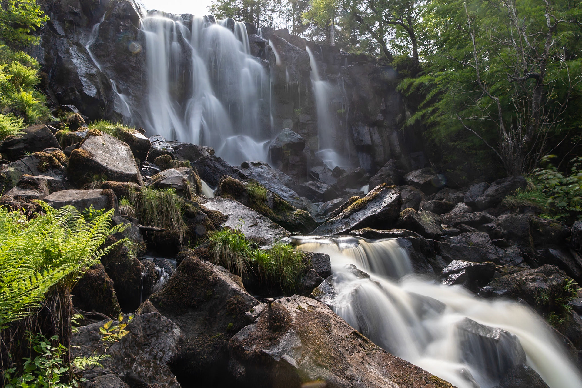 © 2023 Billy Hodgkins Photography All rights reserved.