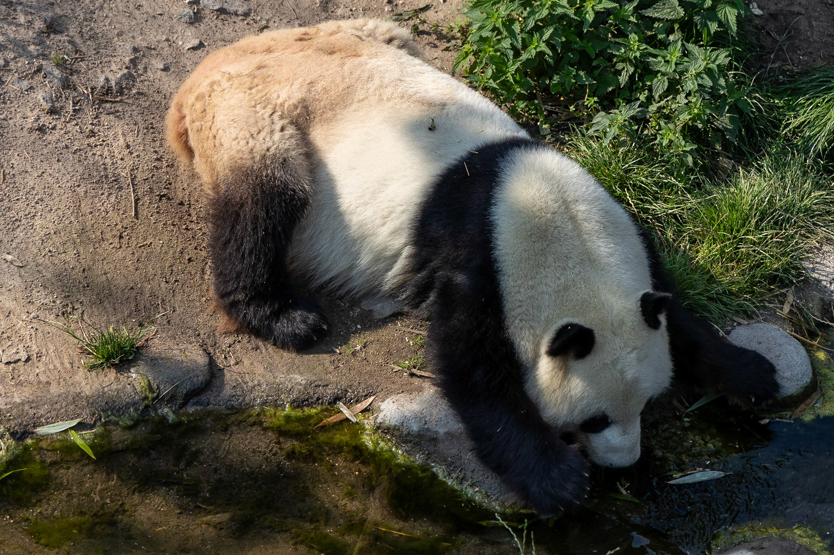 © 2023 Billy Hodgkins Photography All rights reserved.