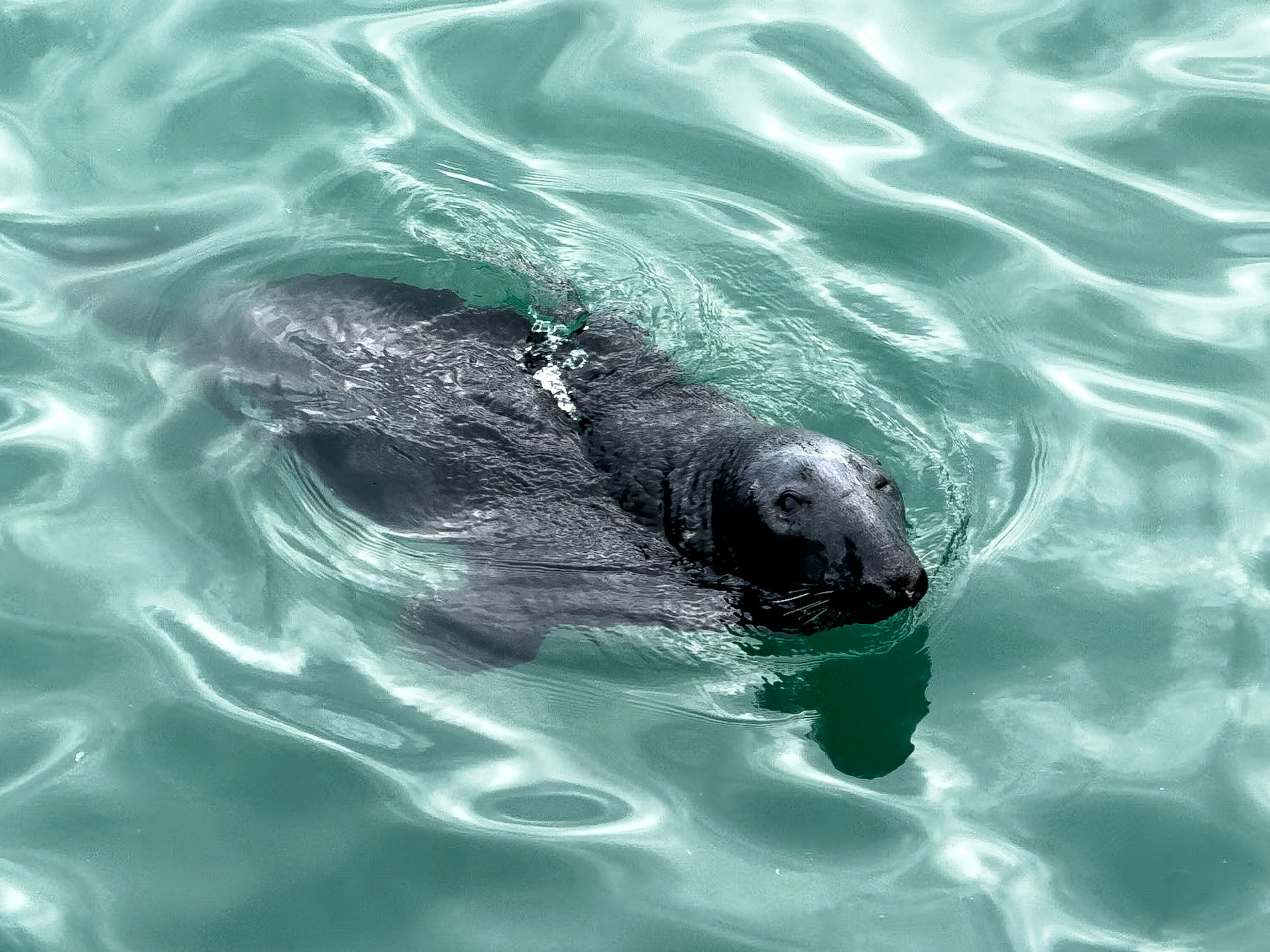 © 2025 Billy Hodgkins Photography All rights reserved.