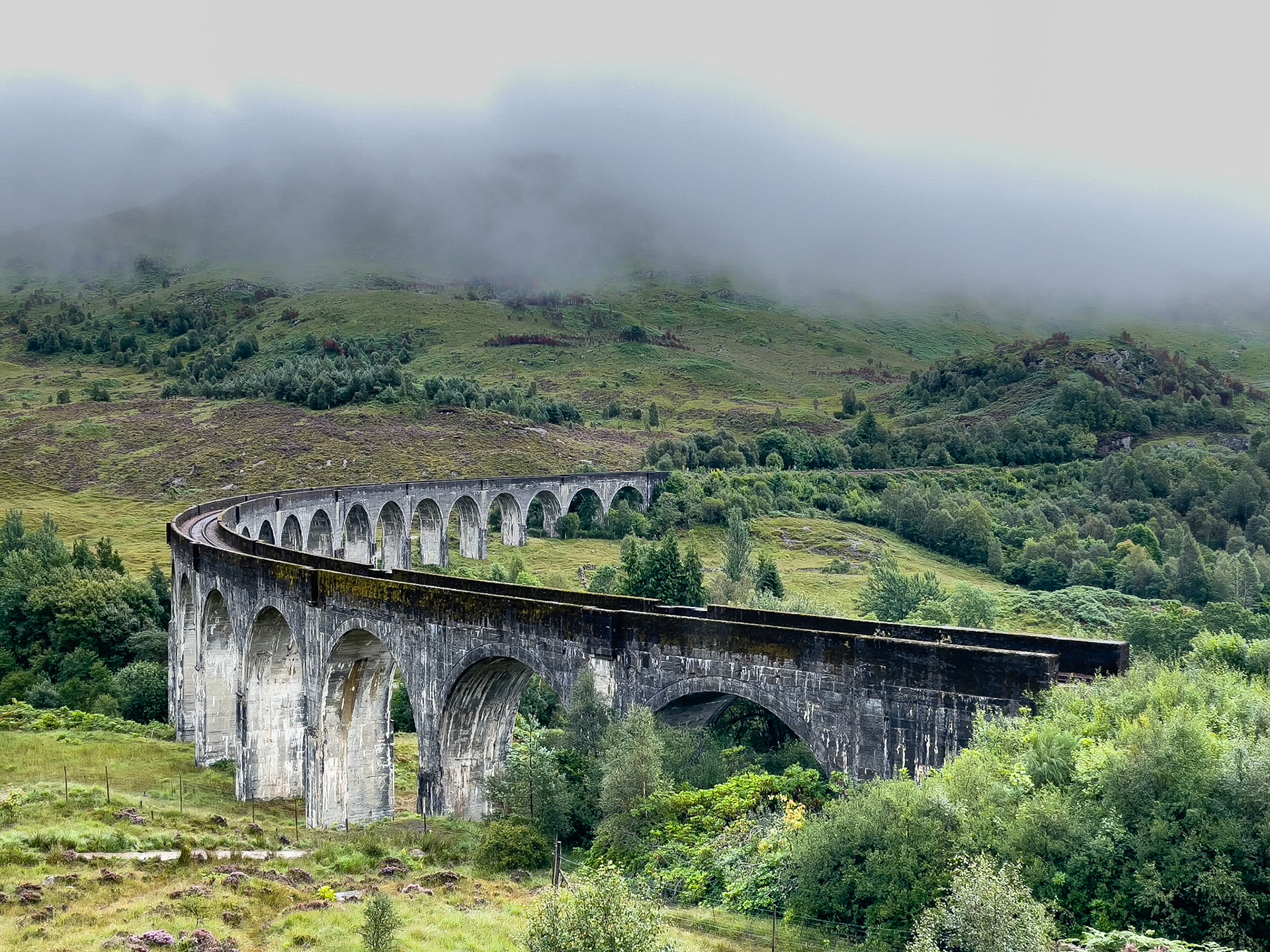 © 2021 Billy Hodgkins Photography All rights reserved.