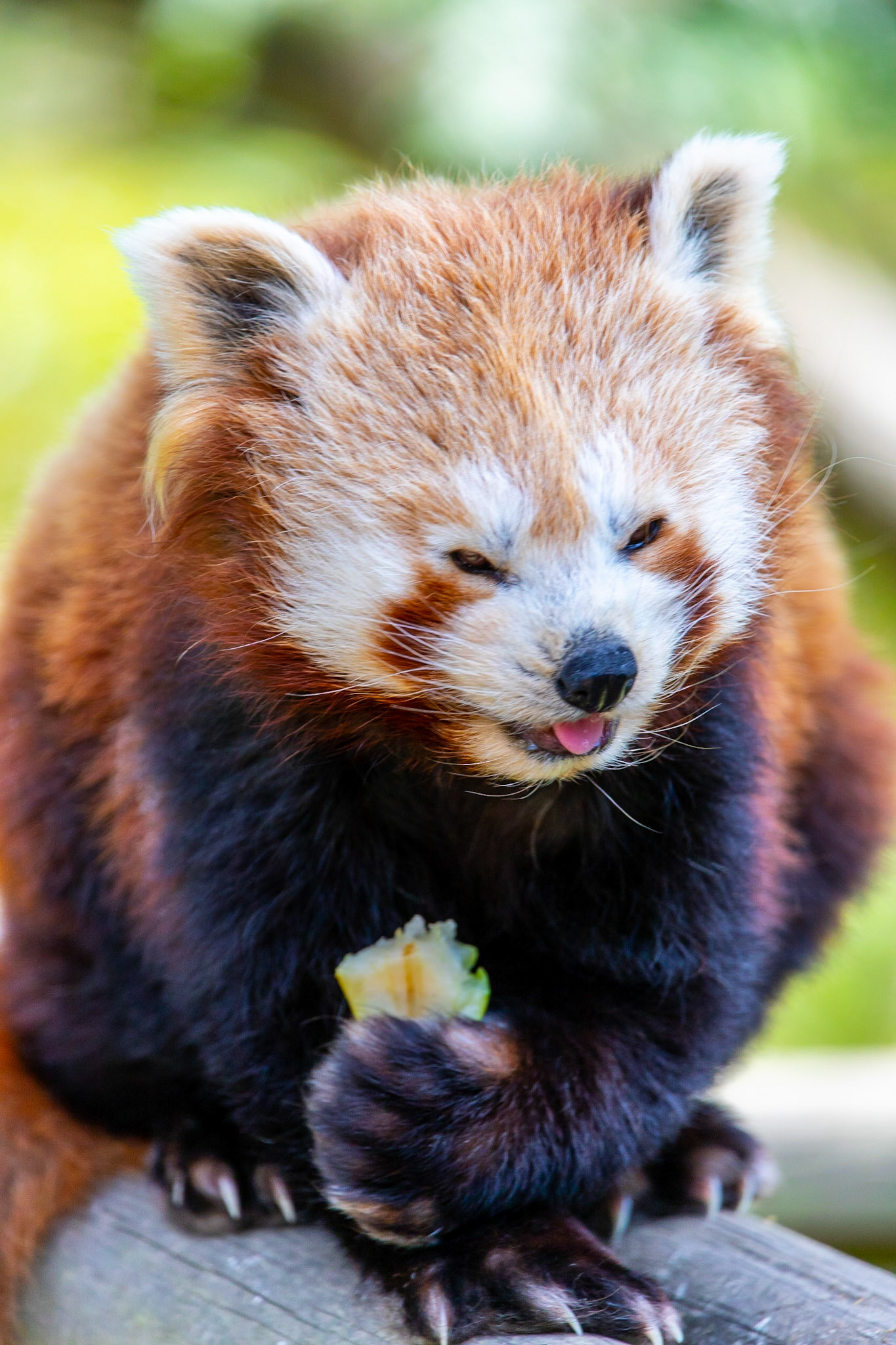 © 2021 Billy Hodgkins Photography All rights reserved.