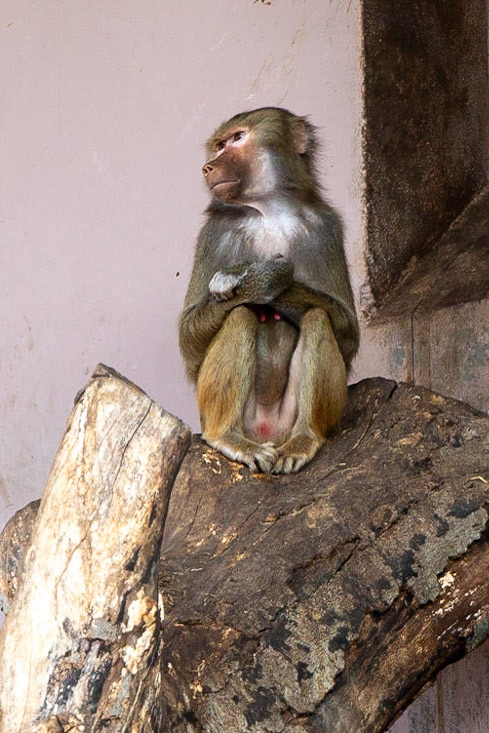 © 2023 Billy Hodgkins Photography All rights reserved.