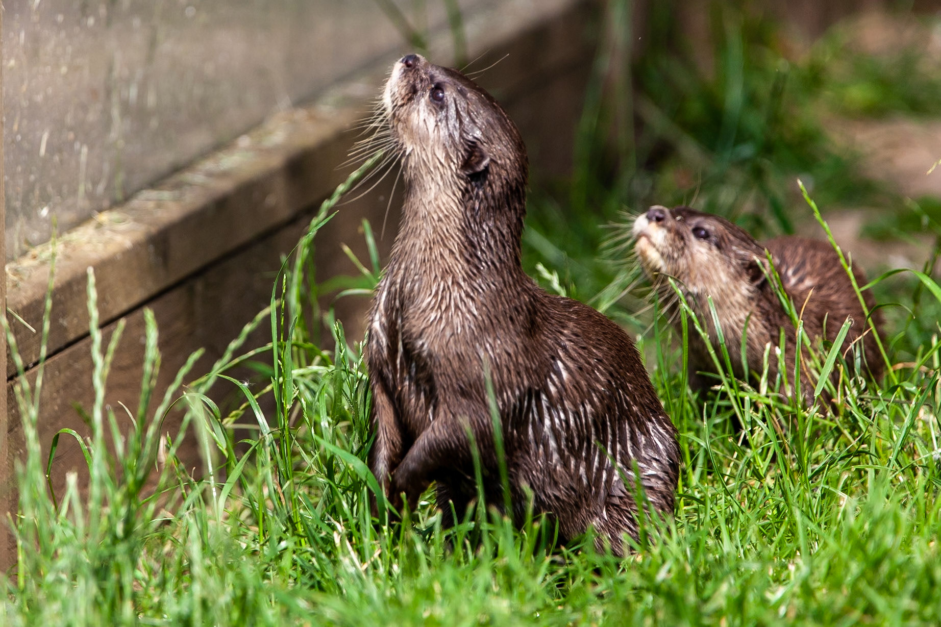 © 2020 Billy Hodgkins Photography All rights reserved.