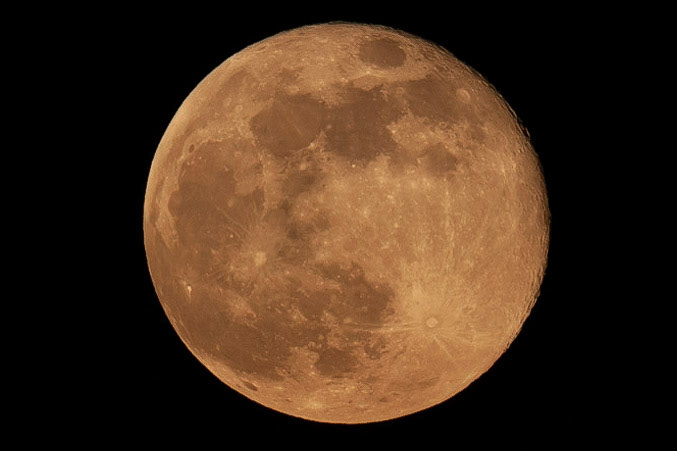 © 2020 Billy Hodgkins Photography All rights reserved.