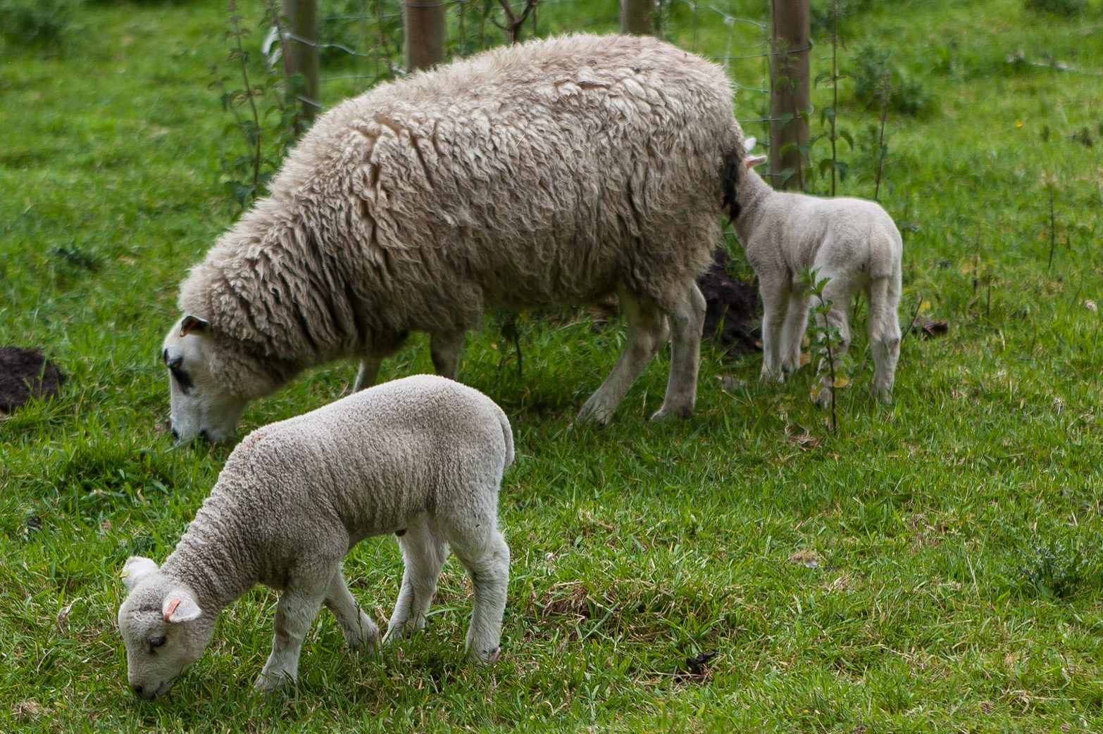 © 2015 Billy Hodgkins Photography All rights reserved.