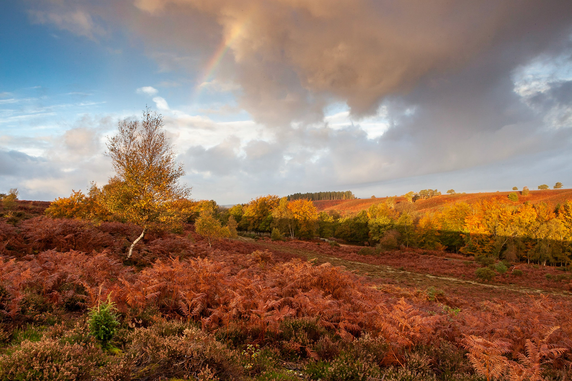 © 2020 Billy Hodgkins Photography All rights reserved.