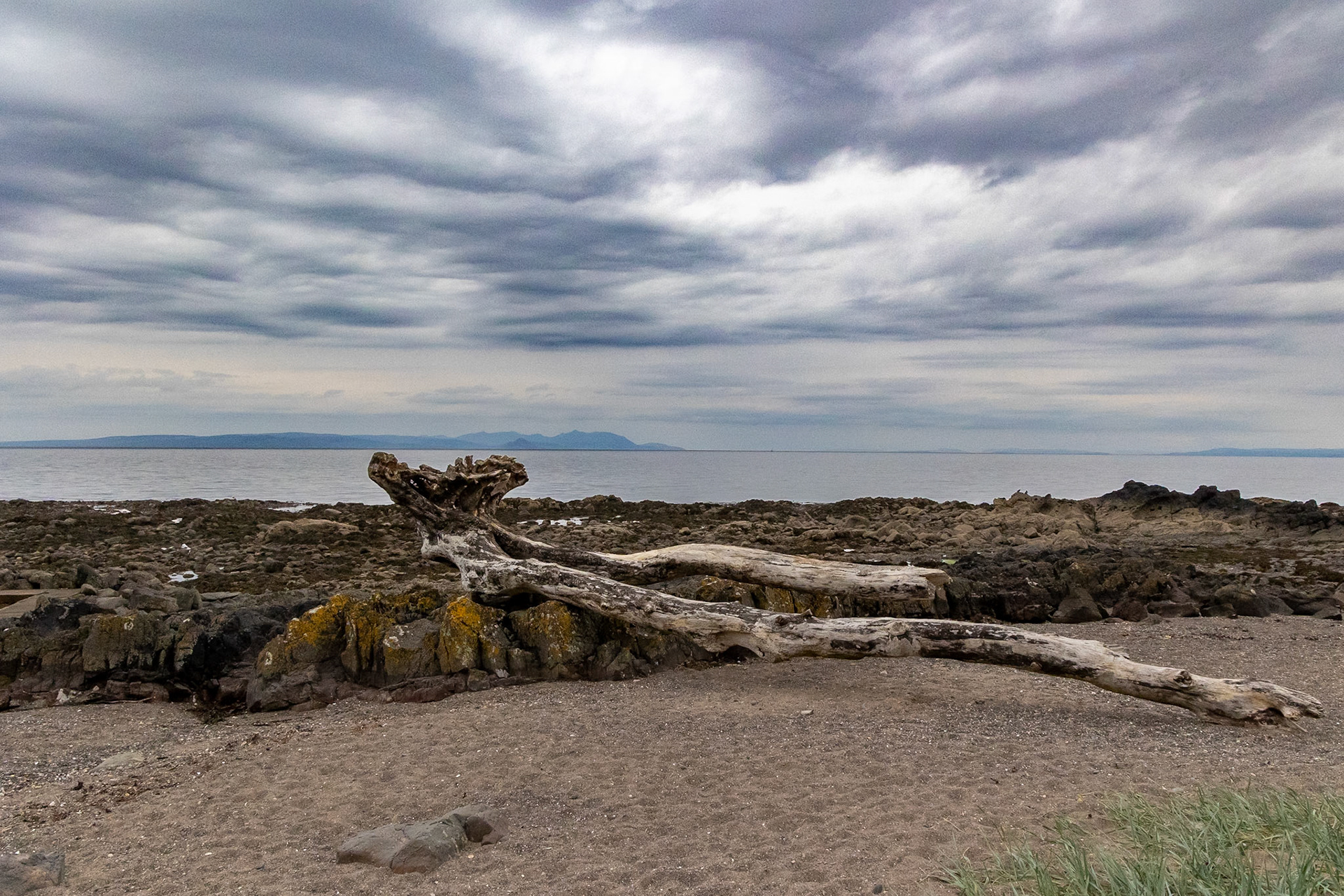 © 2023 Billy Hodgkins Photography All rights reserved.