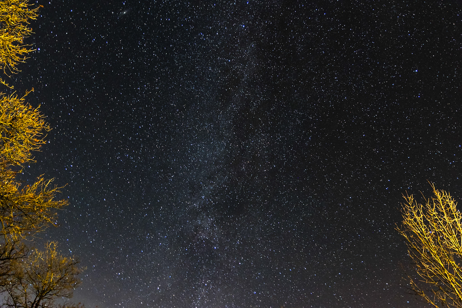 © 2023 Billy Hodgkins Photography All rights reserved.