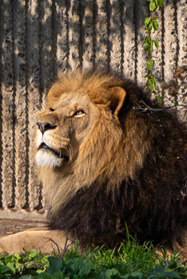 © 2023 Billy Hodgkins Photography All rights reserved.