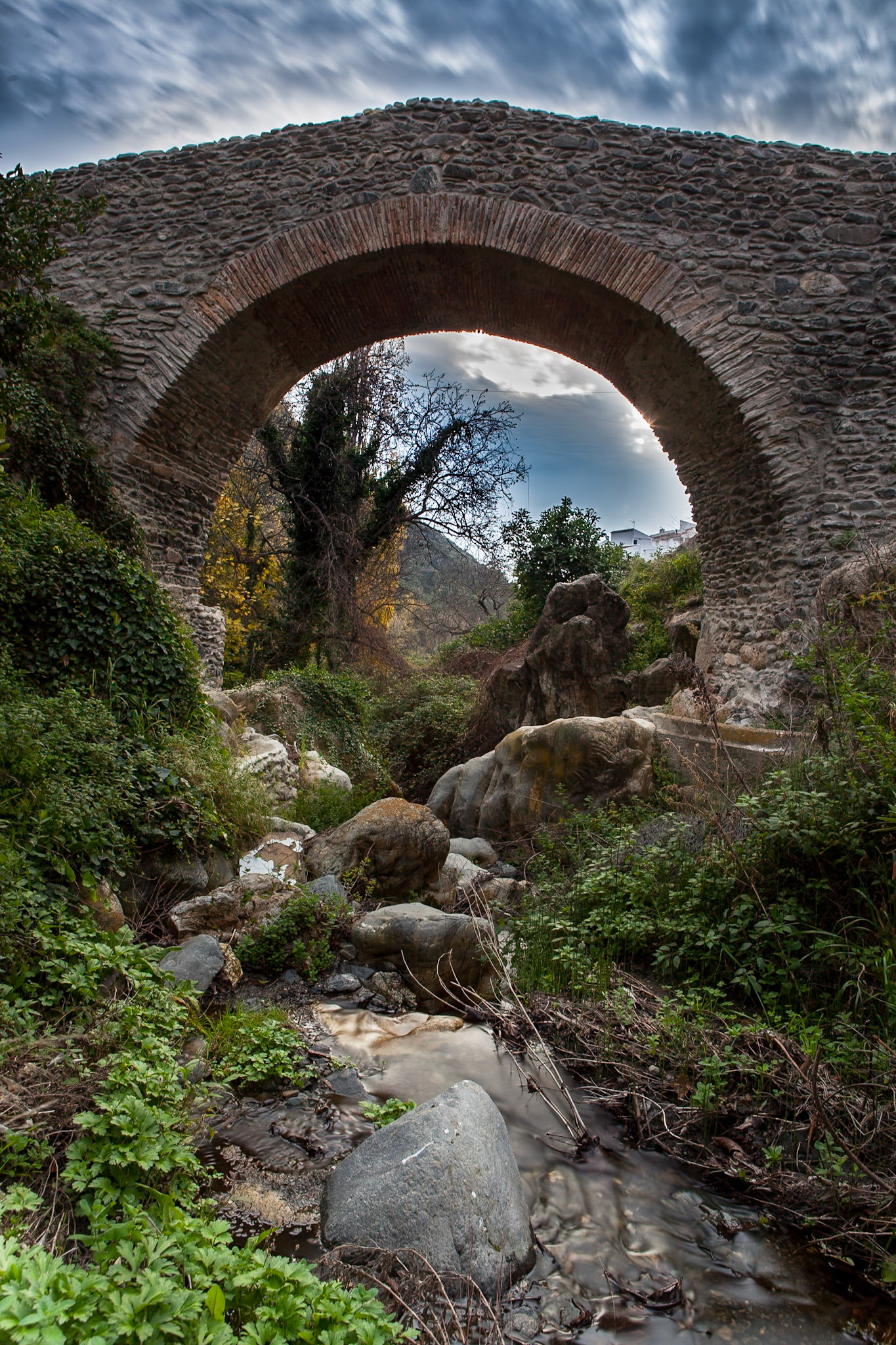 © 2015 Billy Hodgkins Photography All rights reserved.