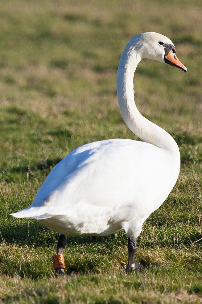 © 2015 Billy Hodgkins Photography All rights reserved.